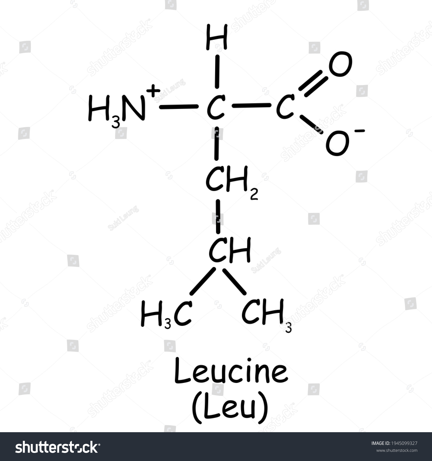 Amino Acid Chemical Structure Leucine Leu Stock Illustration 1945099327 ...