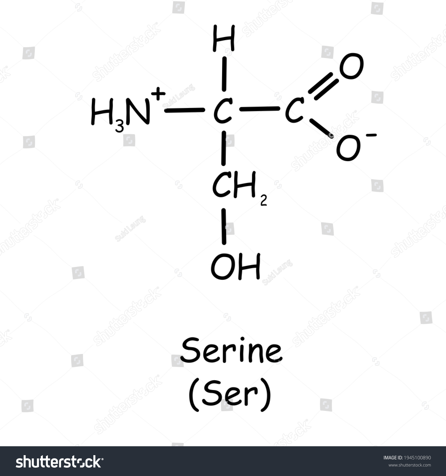 Amino Acid Chemical Structure Serine Ser Stock Illustration 1945100890 ...