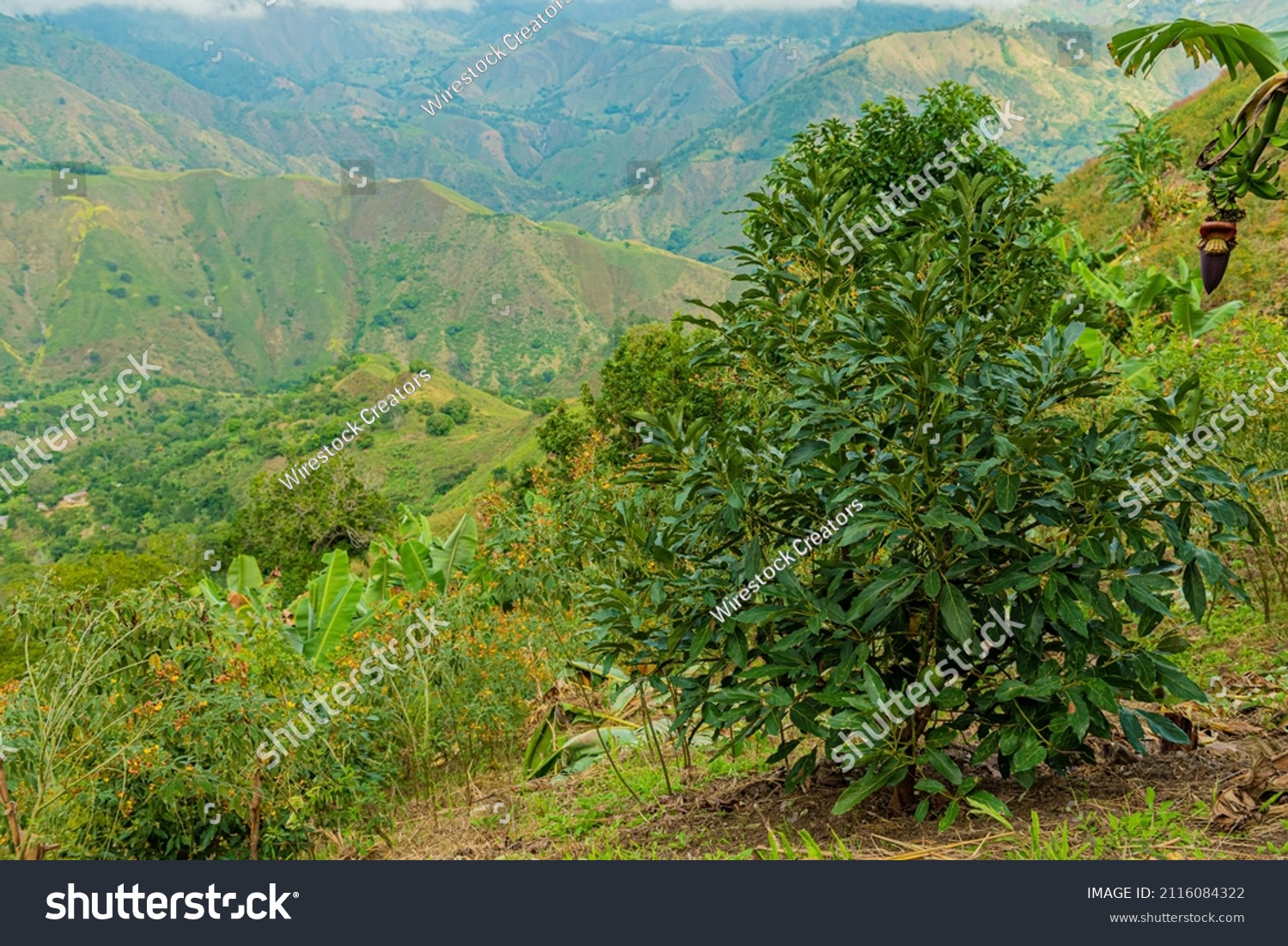 34 Frio industrial Images, Stock Photos & Vectors | Shutterstock