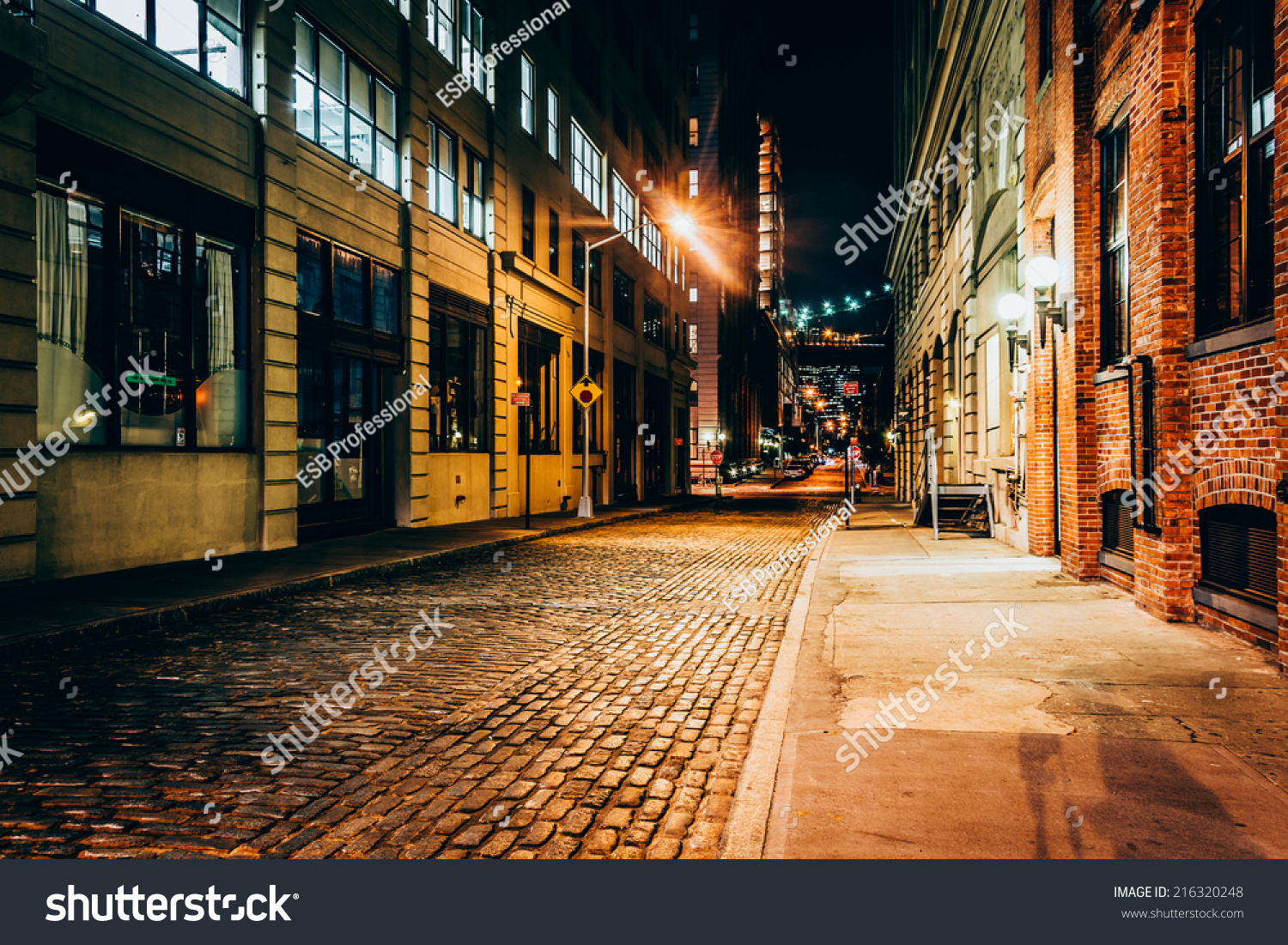 ニューヨークのブルックリンの夜の路地 の写真素材 今すぐ編集