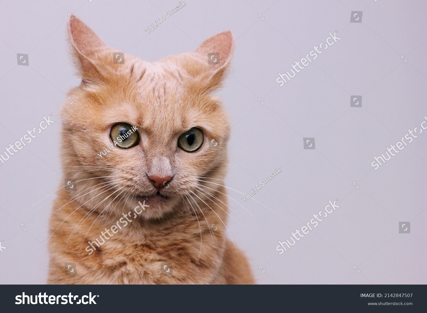 1,981 Animal furrow Images, Stock Photos & Vectors Shutterstock