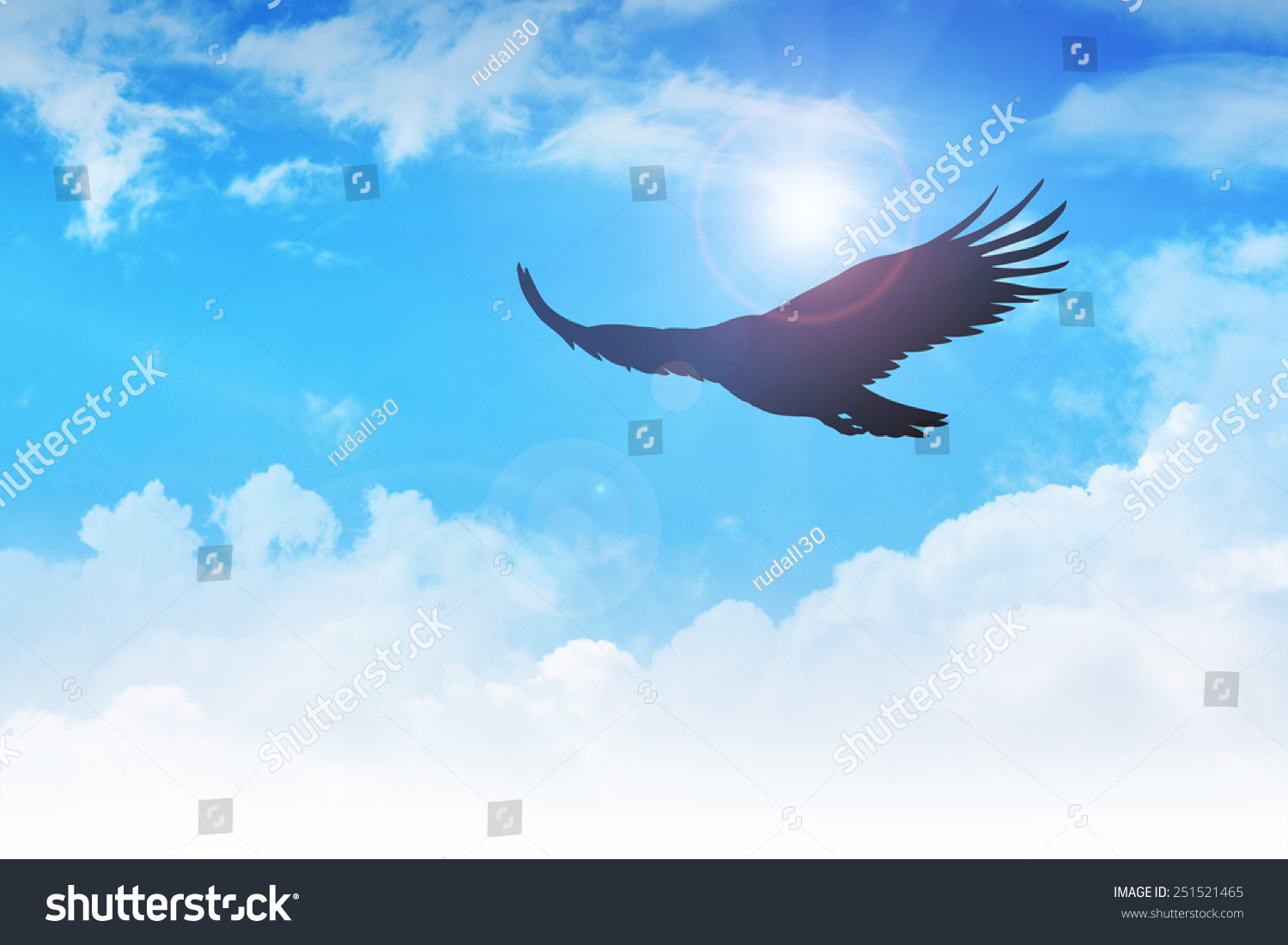 An Eagle Flying In The Air Stock Photo 251521465 : Shutterstock