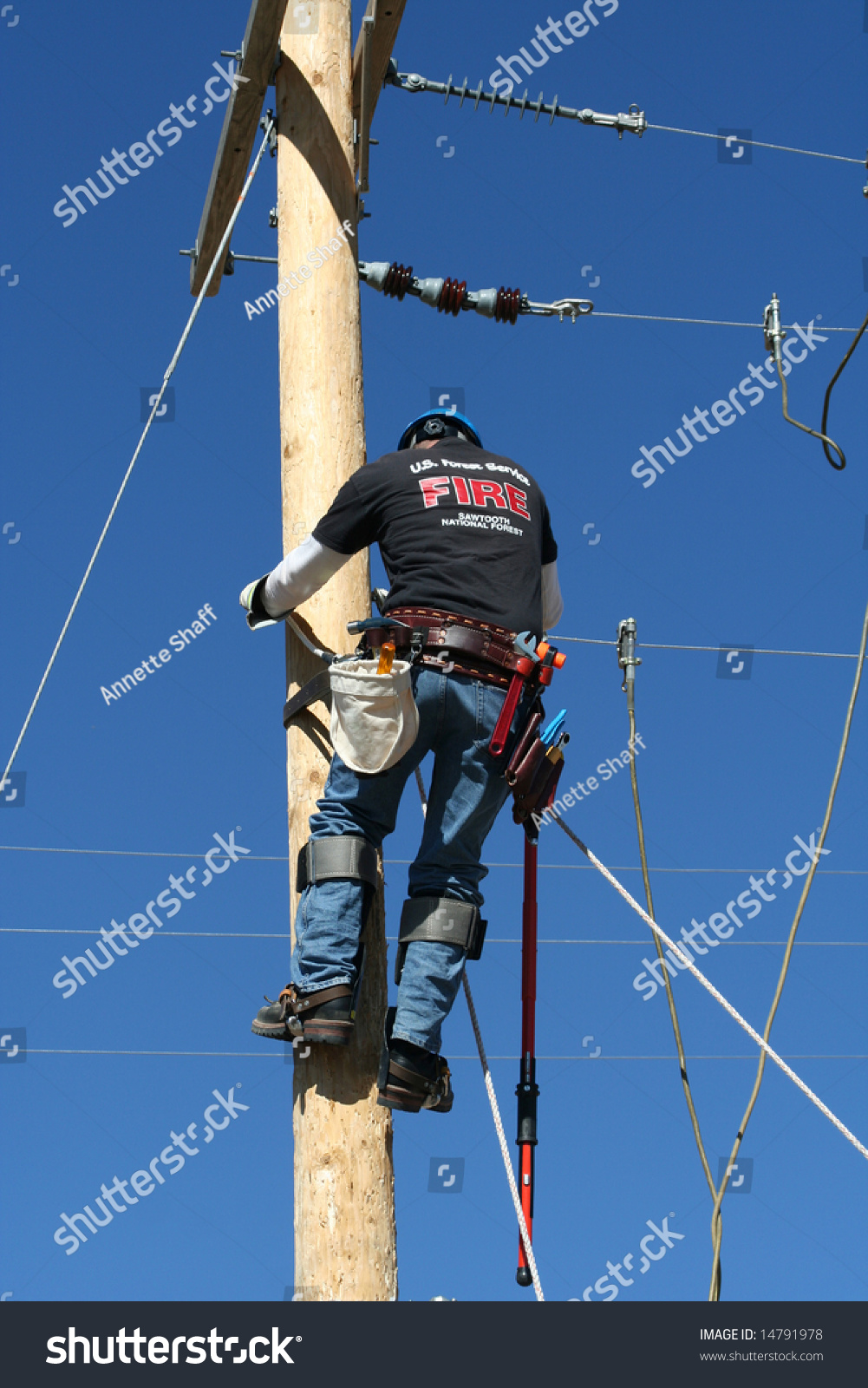 Electrical Lineman Student Working On Pole Stock Photo 14791978 ...