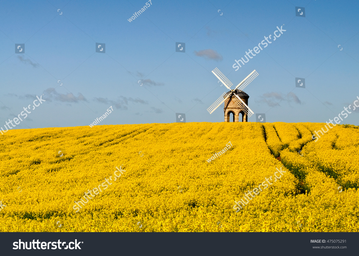 English Windmill Field Rapeseed Stock Photo Edit Now - 