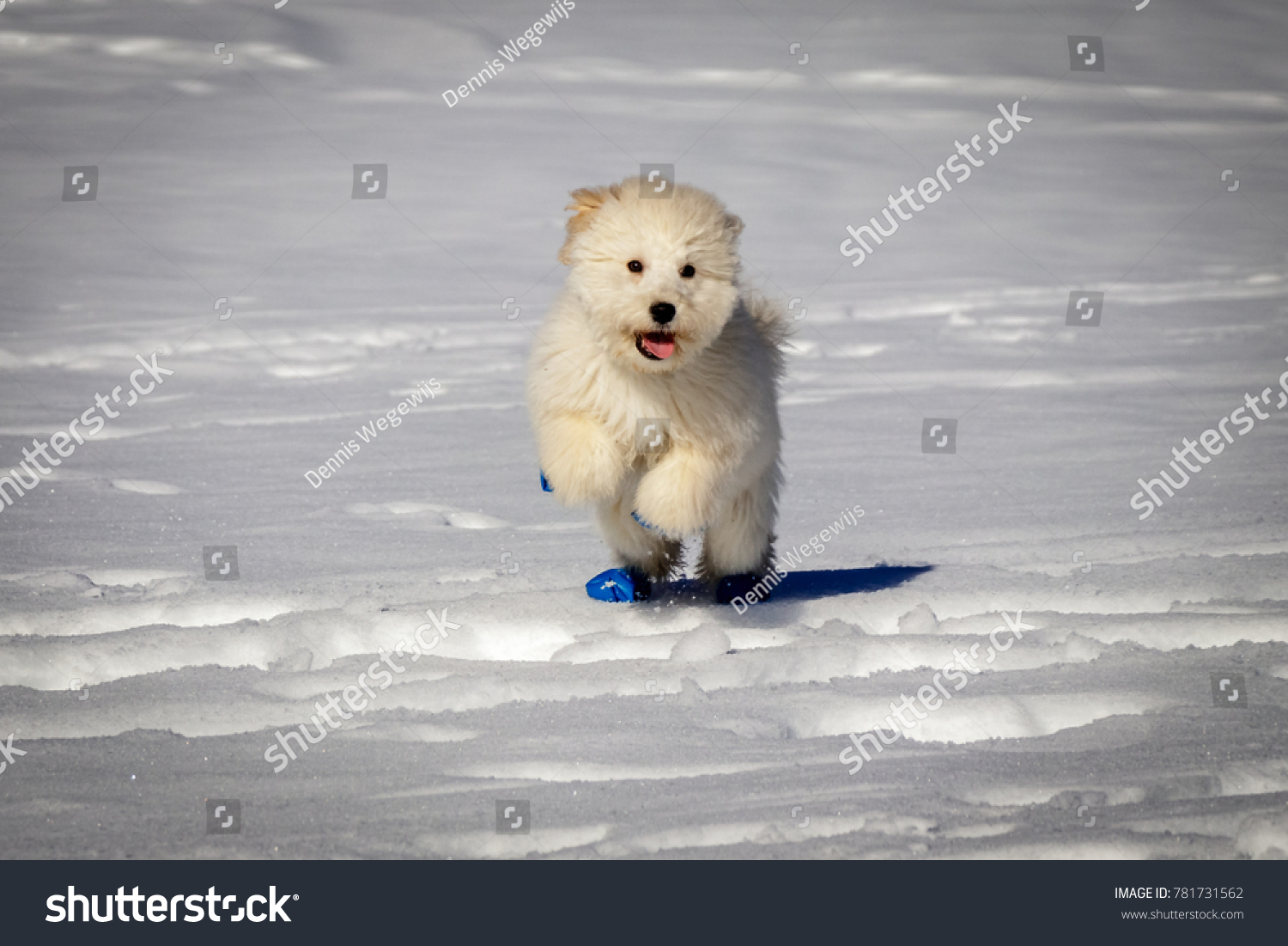 mixed skispringen Olympia