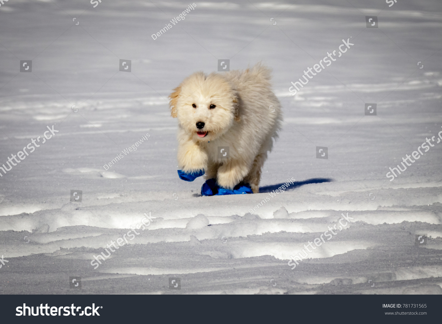 mixed skispringen Olympia