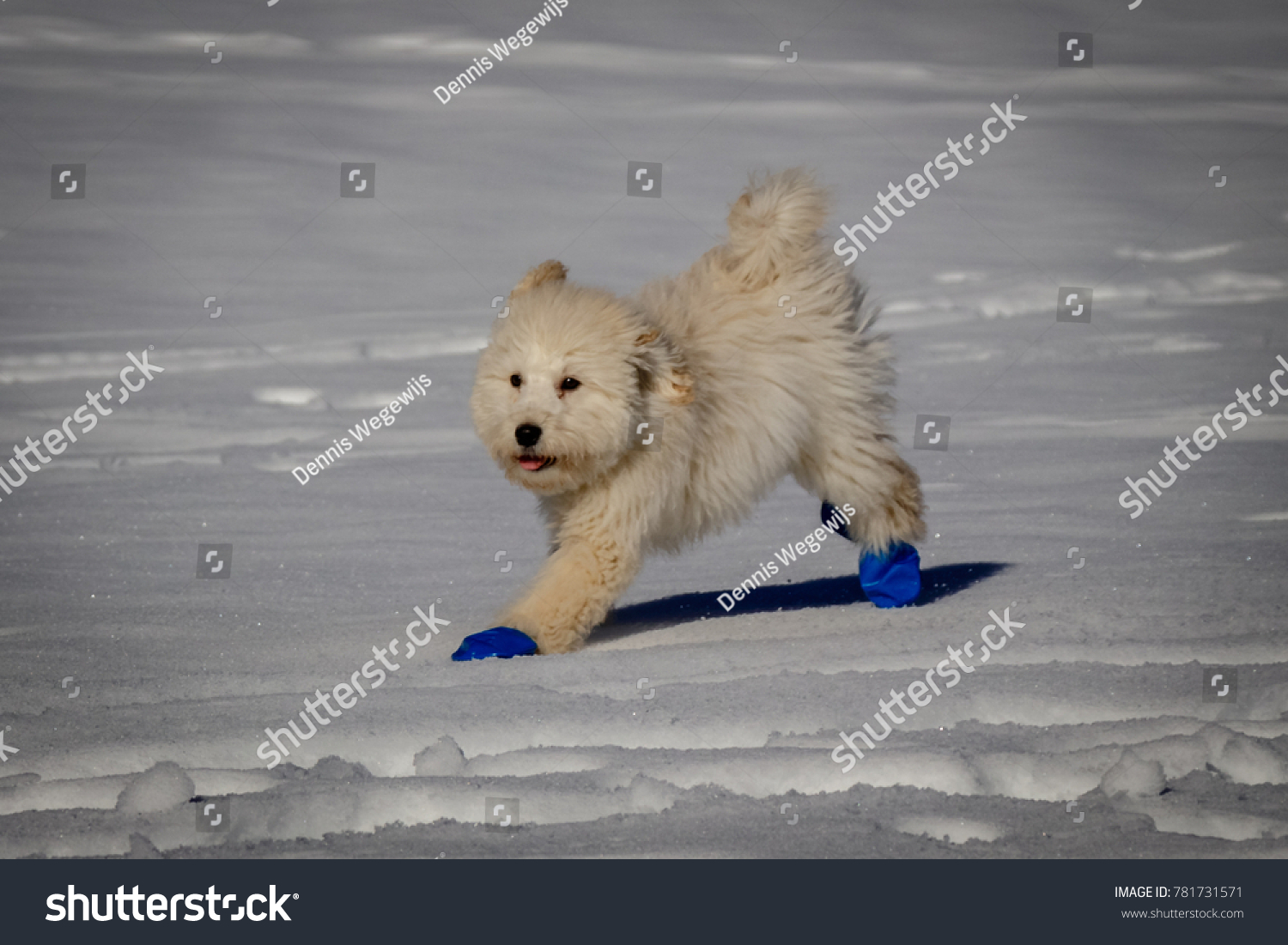 mixed skispringen Olympia