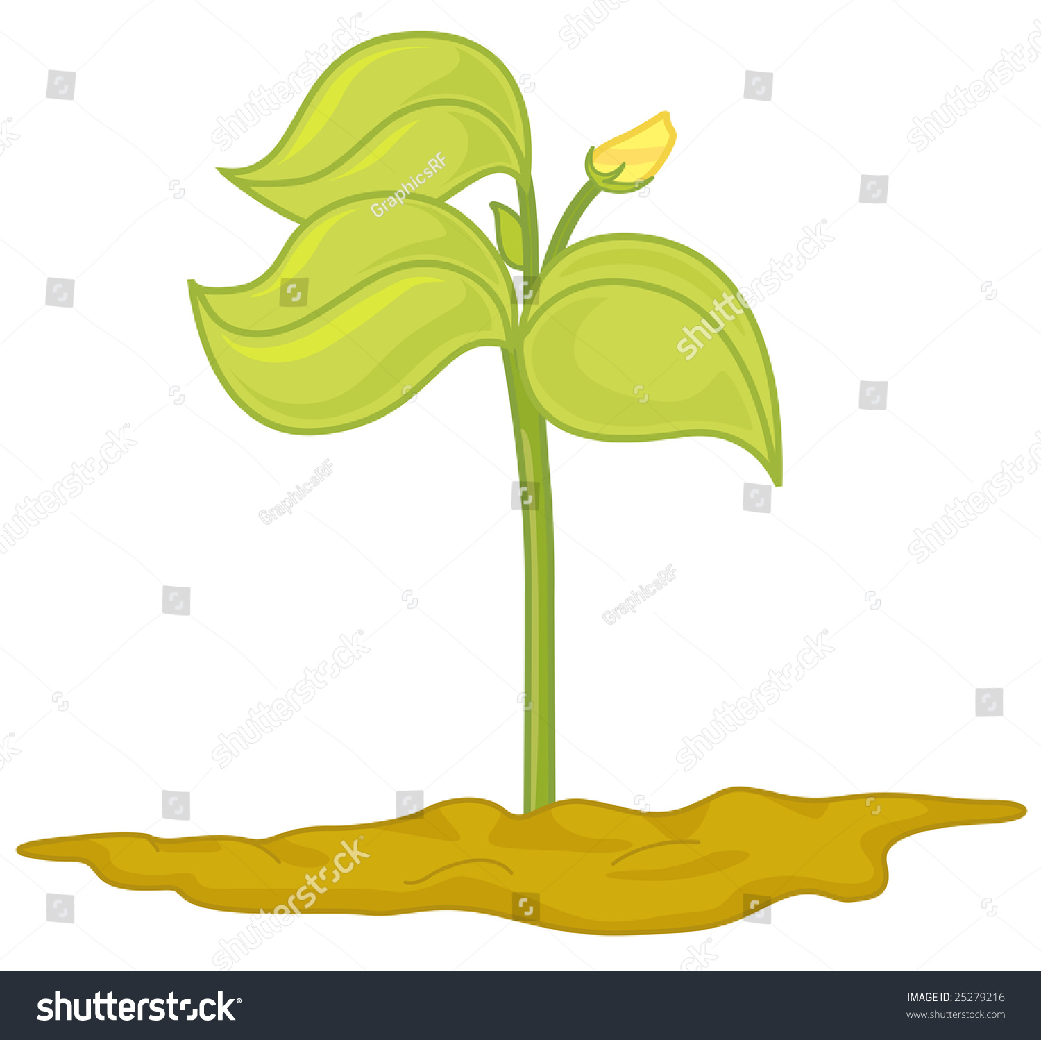An Illustration Of A Plant In Soil Blooming A Flower - 25279216 ...