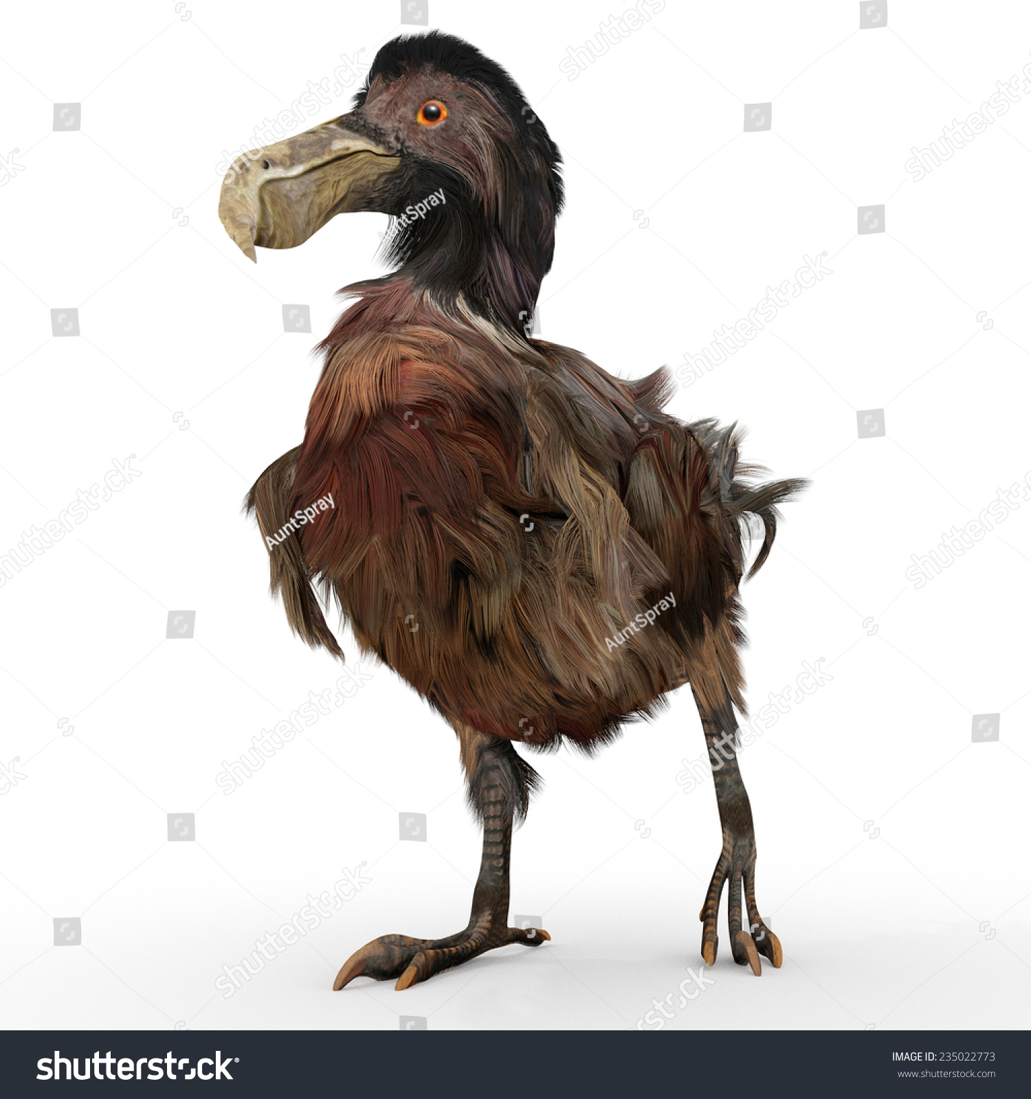 Illustration Extinct Dodo Bird On White Stock Illustration 235022773 ...