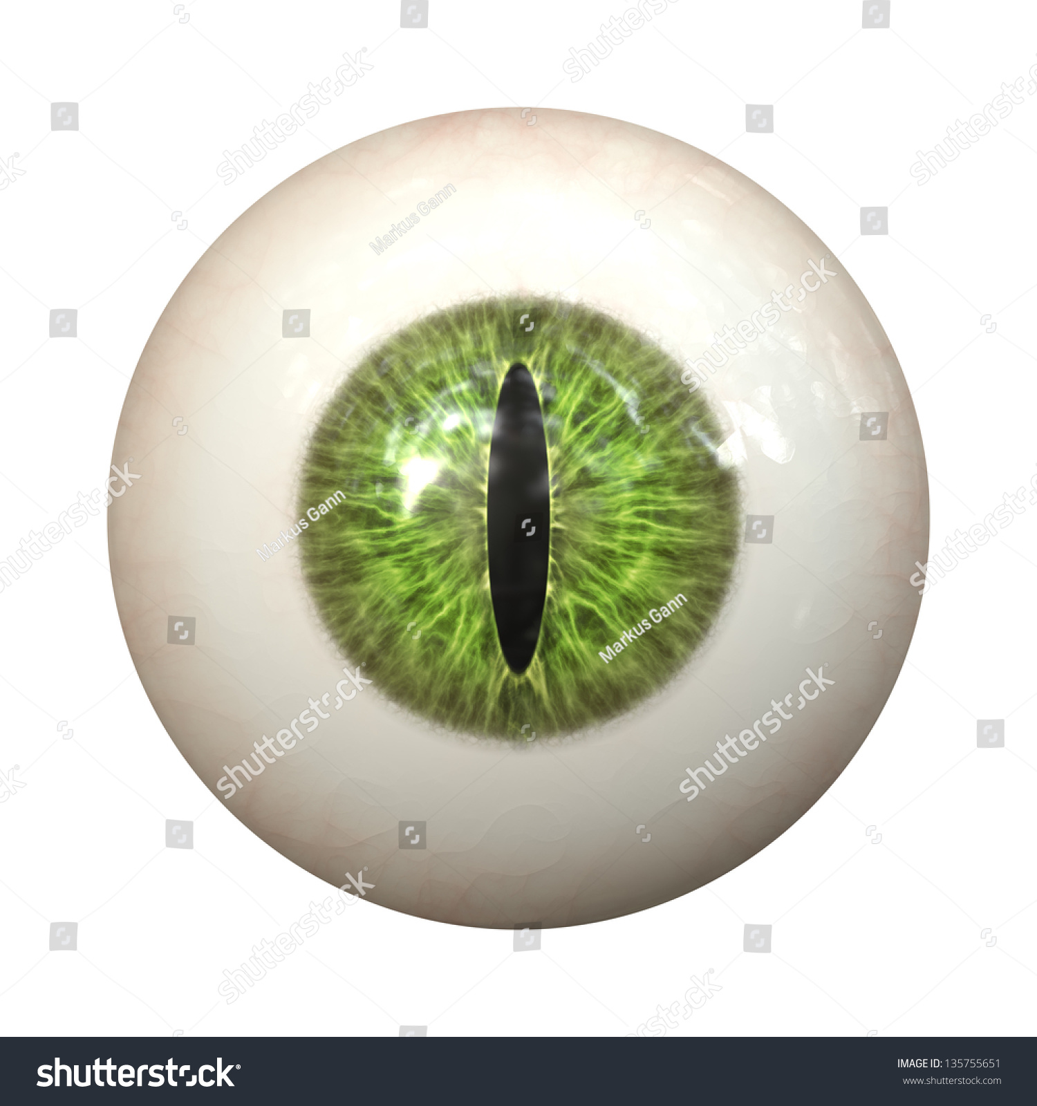 An Image Of A Nice Green Cat Eye Texture Stock Photo 135755651 ...