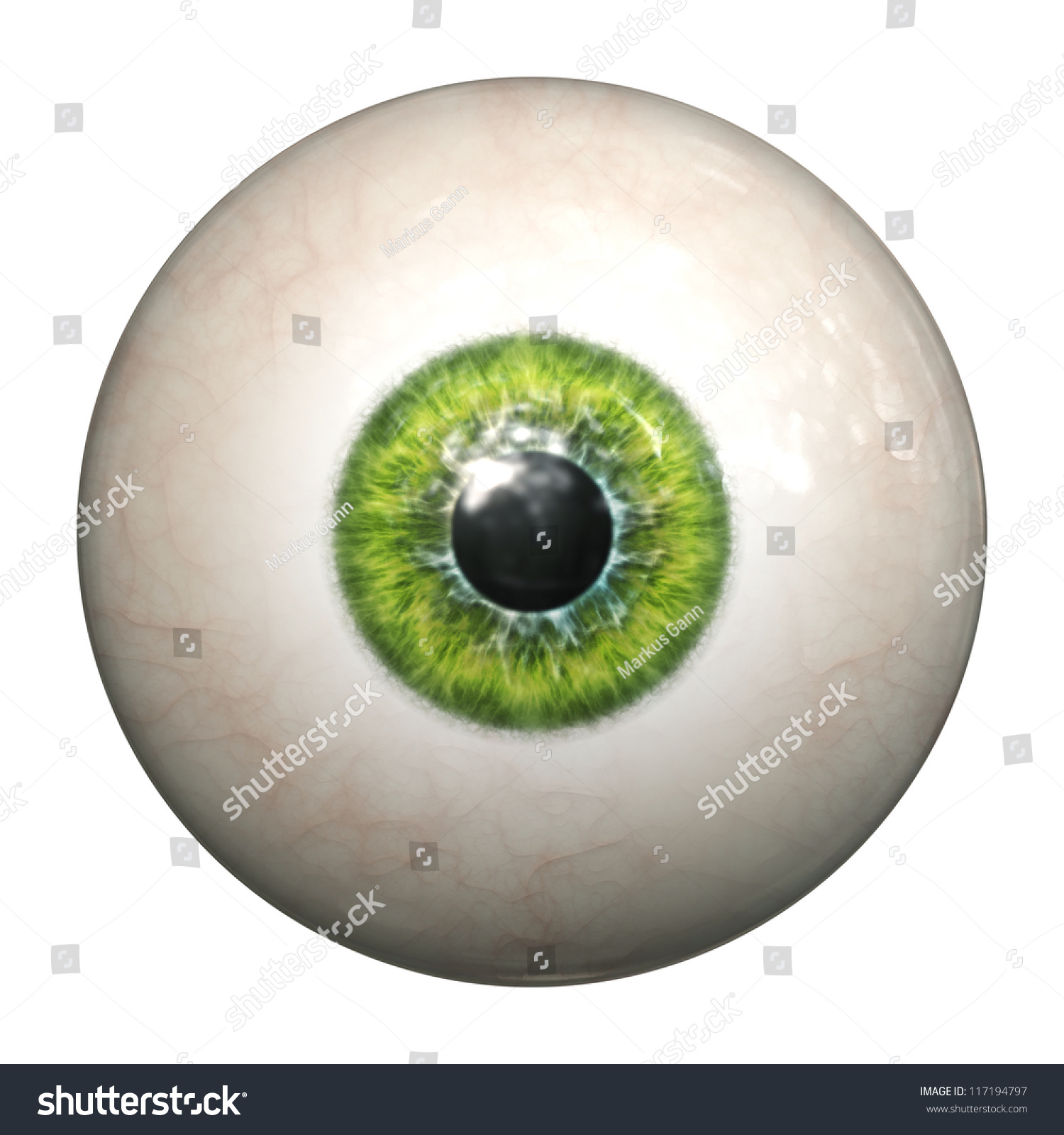 Image Isolated Green Eyeball Stock Illustration 117194797 - Shutterstock