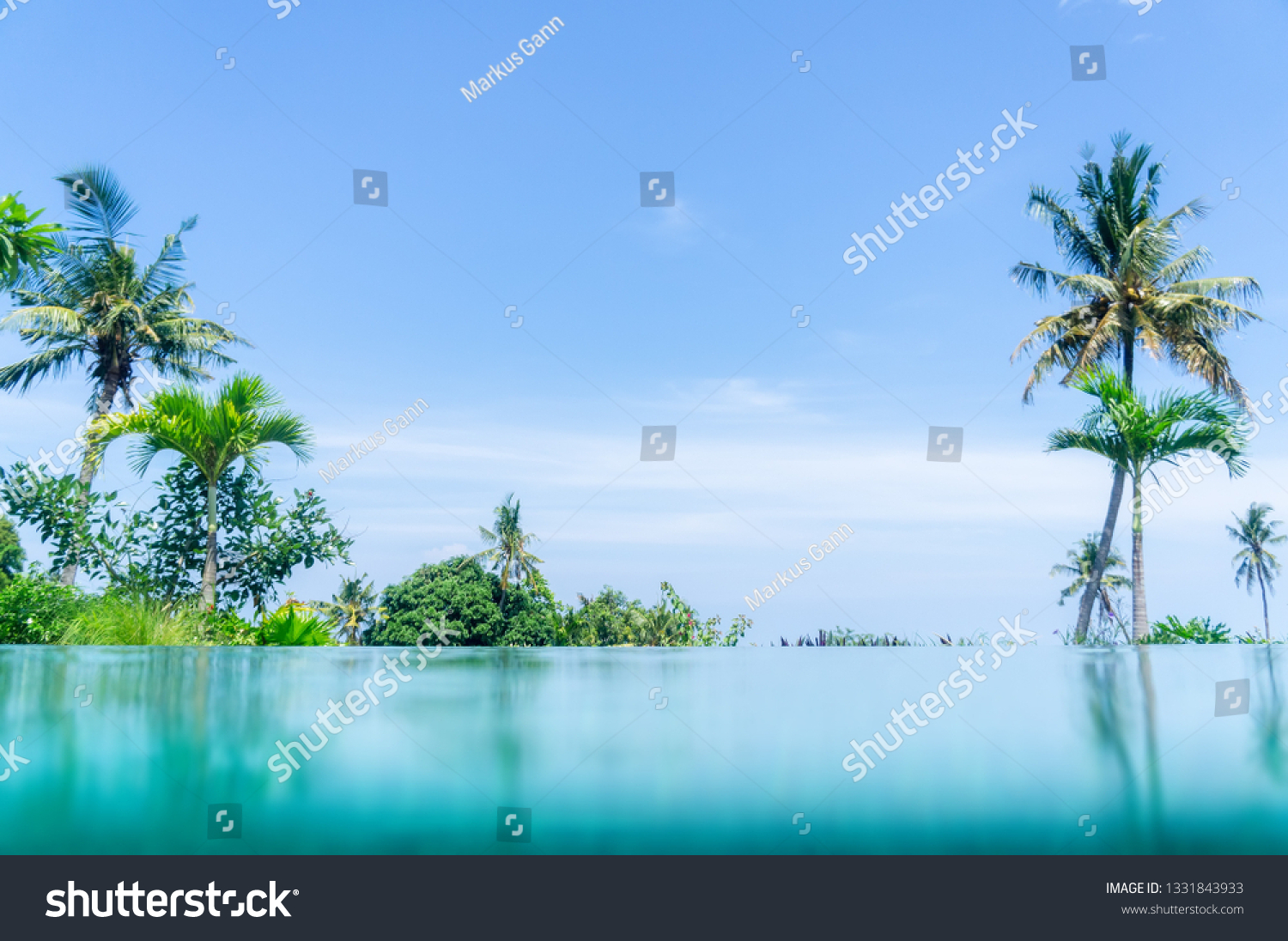 Image Some Palm Trees Pool Background Stock Photo 1331843933 | Shutterstock