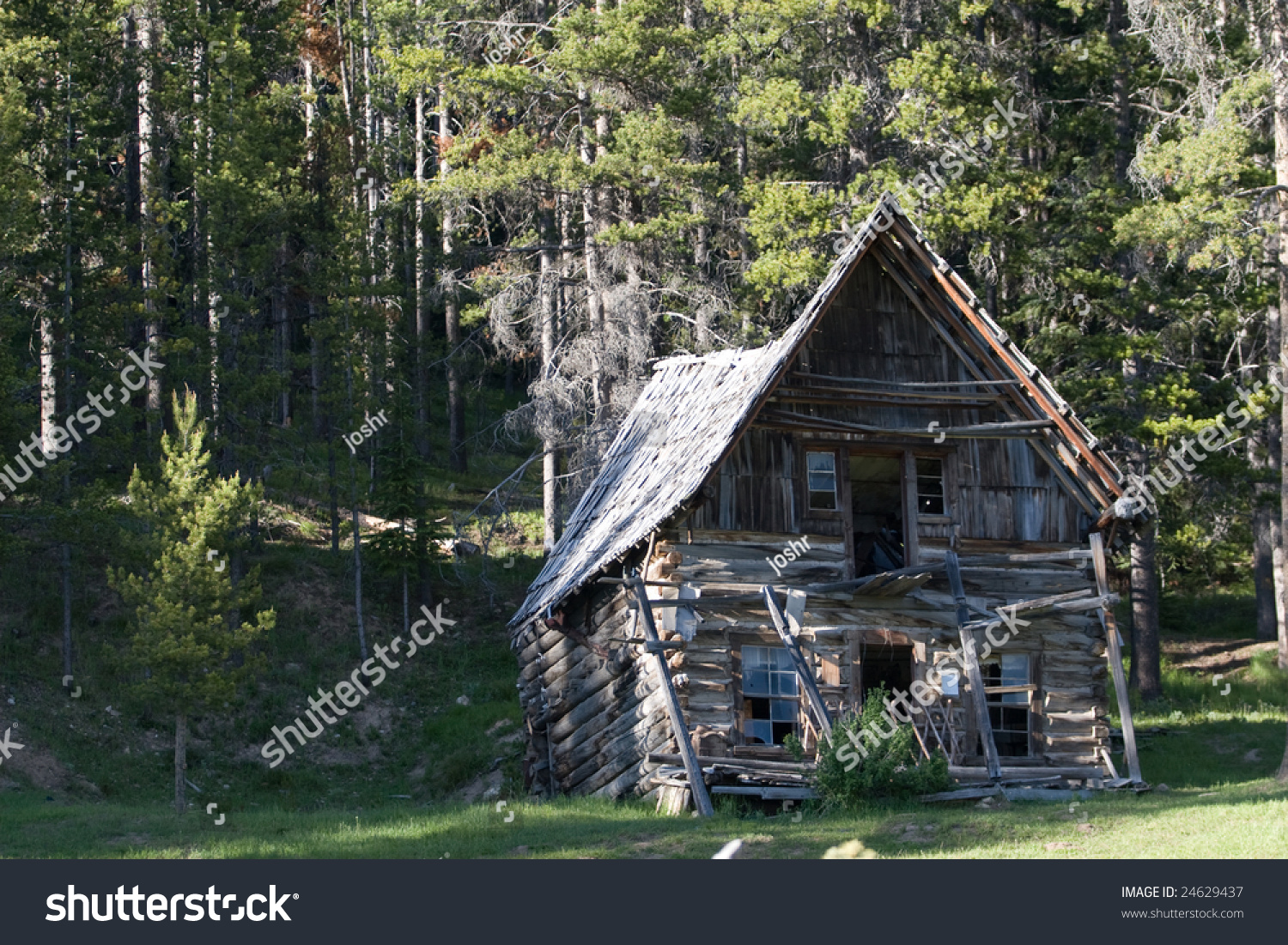 Old Cabin Burgdorf Idaho Stock Photo Edit Now 24629437