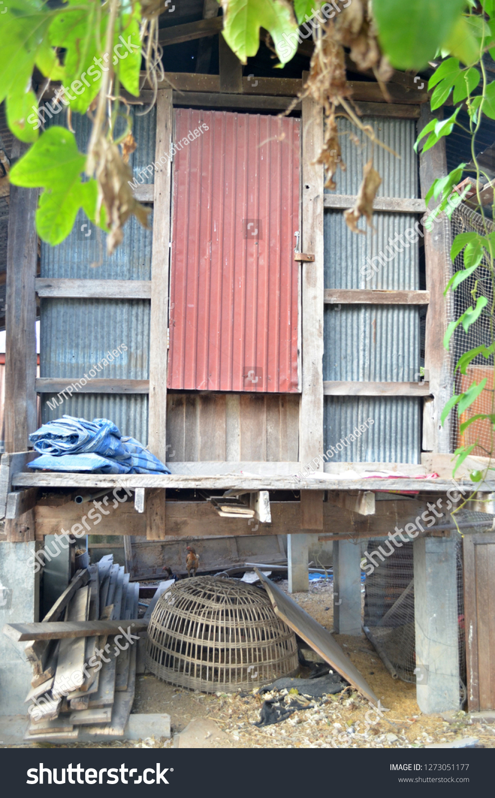 Old Rice Barn Storage Drying Harvested Stock Photo Edit Now