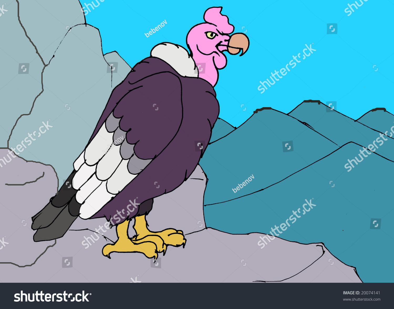 Andean Condor In The Mountain Stock Photo 20074141 : Shutterstock