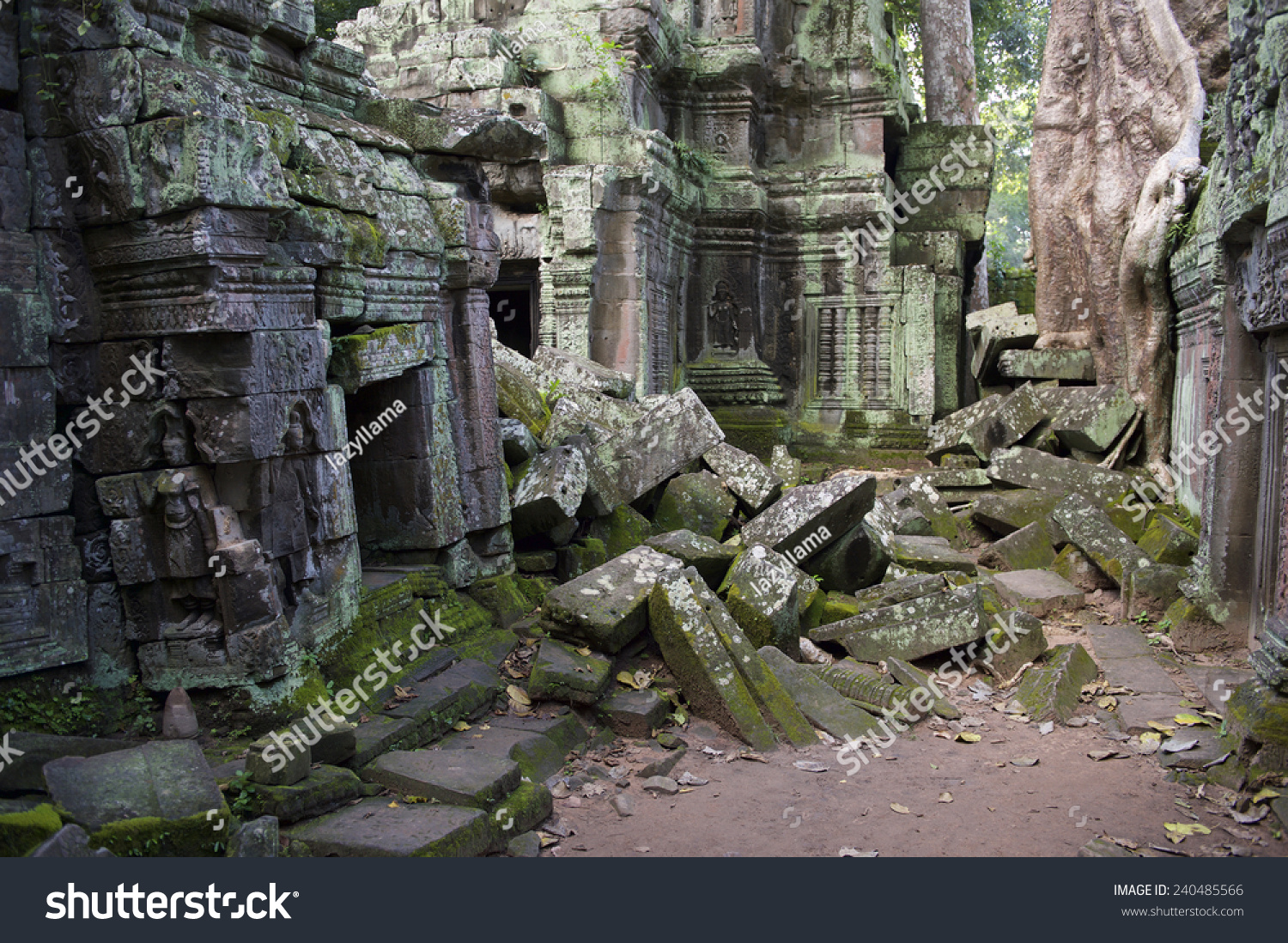 Angkor Wat Jungle Temple Ta Prohm Stock Photo Edit Now