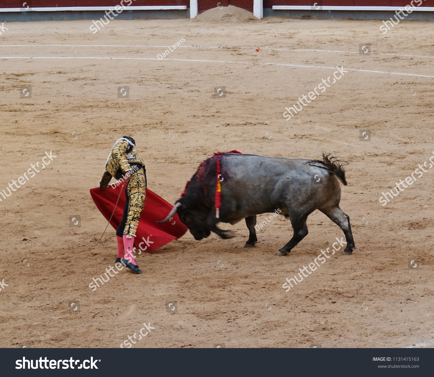 Angry Bull Charges Toward Matadors Red Stock Photo Edit Now