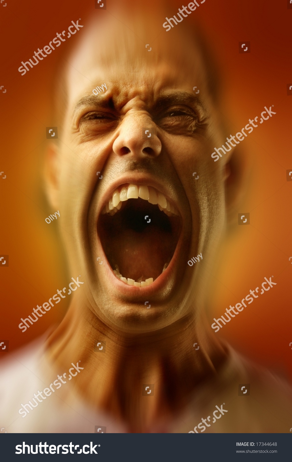 Angry Man Screaming Stock Photo 17344648 : Shutterstock