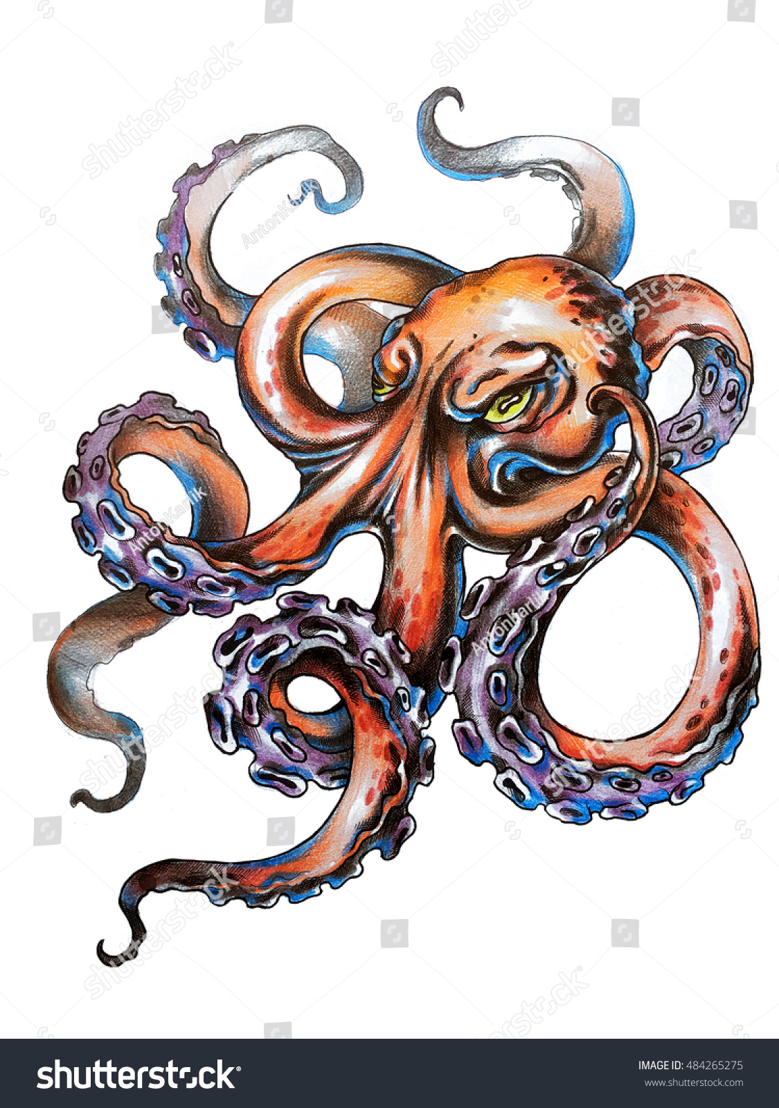 Angry Octopus Long Tentacles Realistic Illustration Stock Illustration 484265275 How to draw a cartoon octopus. https www shutterstock com image illustration angry octopus long tentacles realistic illustration 484265275