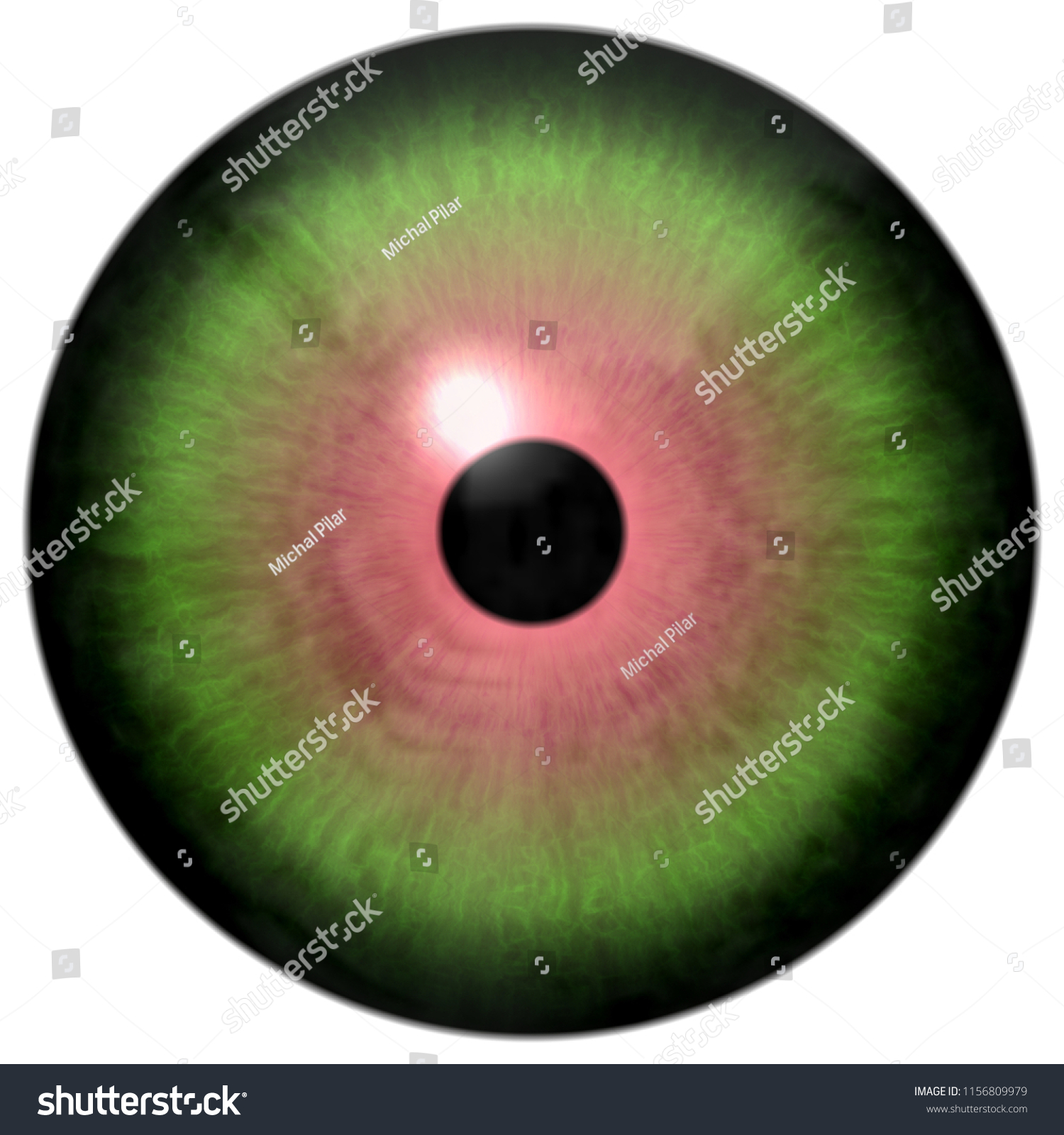 Animal Eye Texture Green Color Black Stock Illustration ...