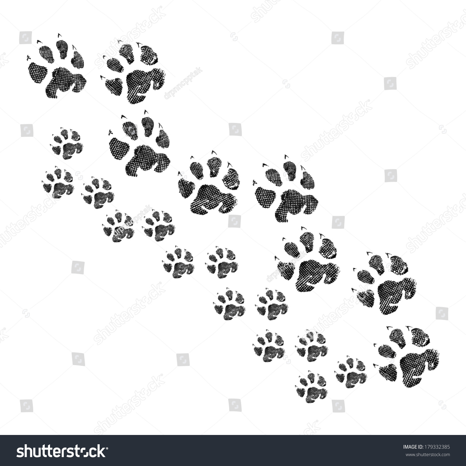 Animal Footprint Walking Together Stock Photo 179332385 : Shutterstock