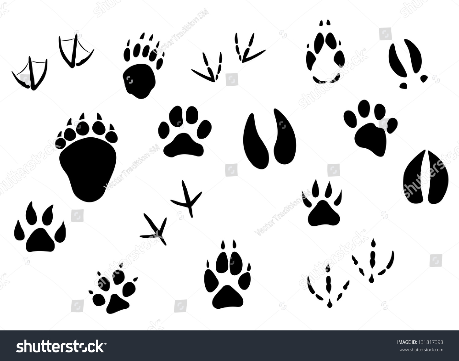 Animal Footprints And Tracks Isolated On White For Wildlife Concept ...