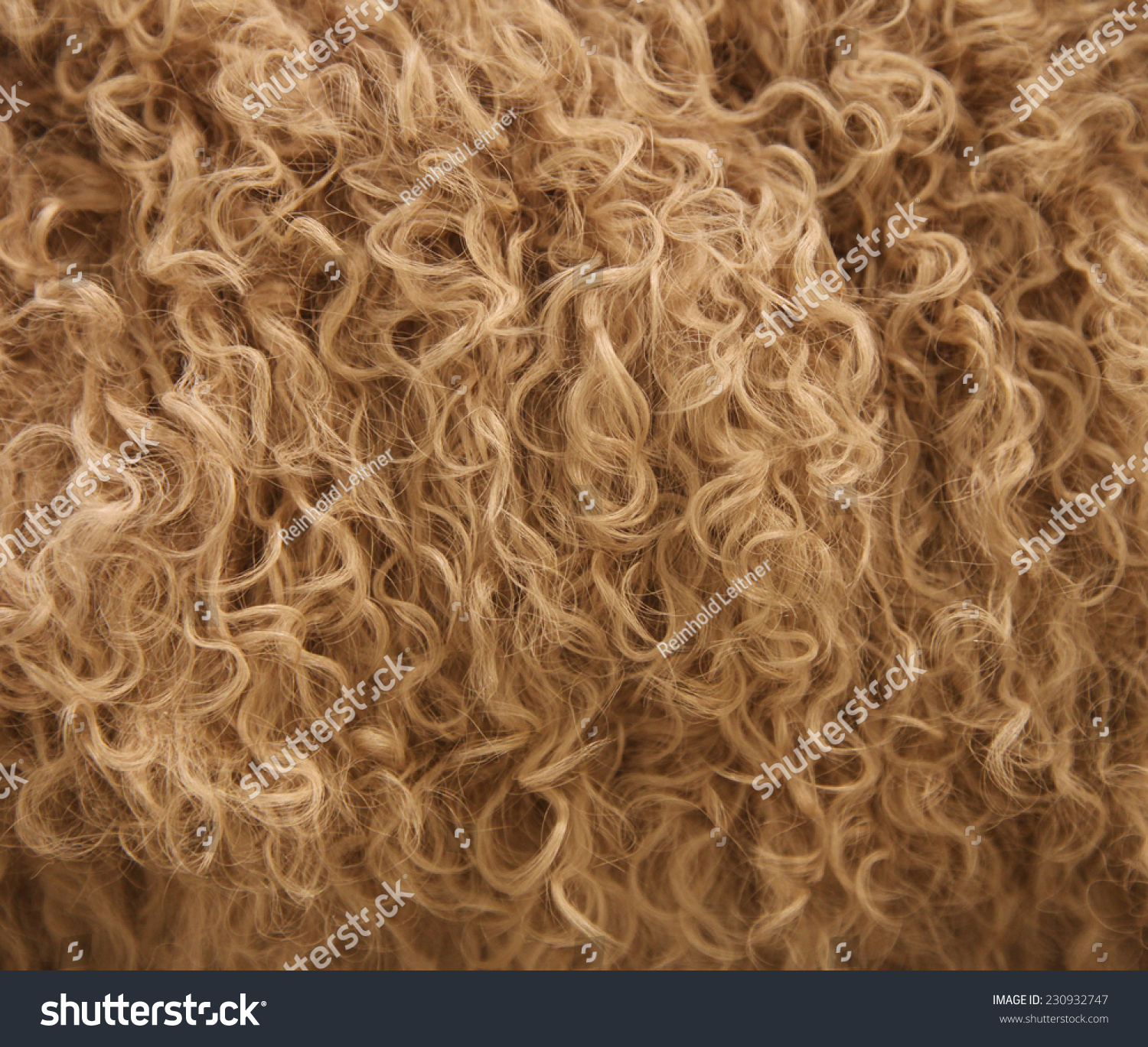 Animal Fur Stock Photo 230932747 : Shutterstock