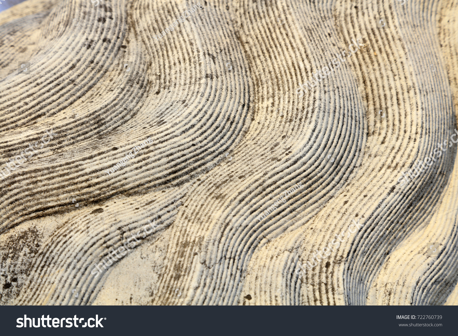 Animal Hair Texture Stone Carving Stock Photo 722760739 | Shutterstock