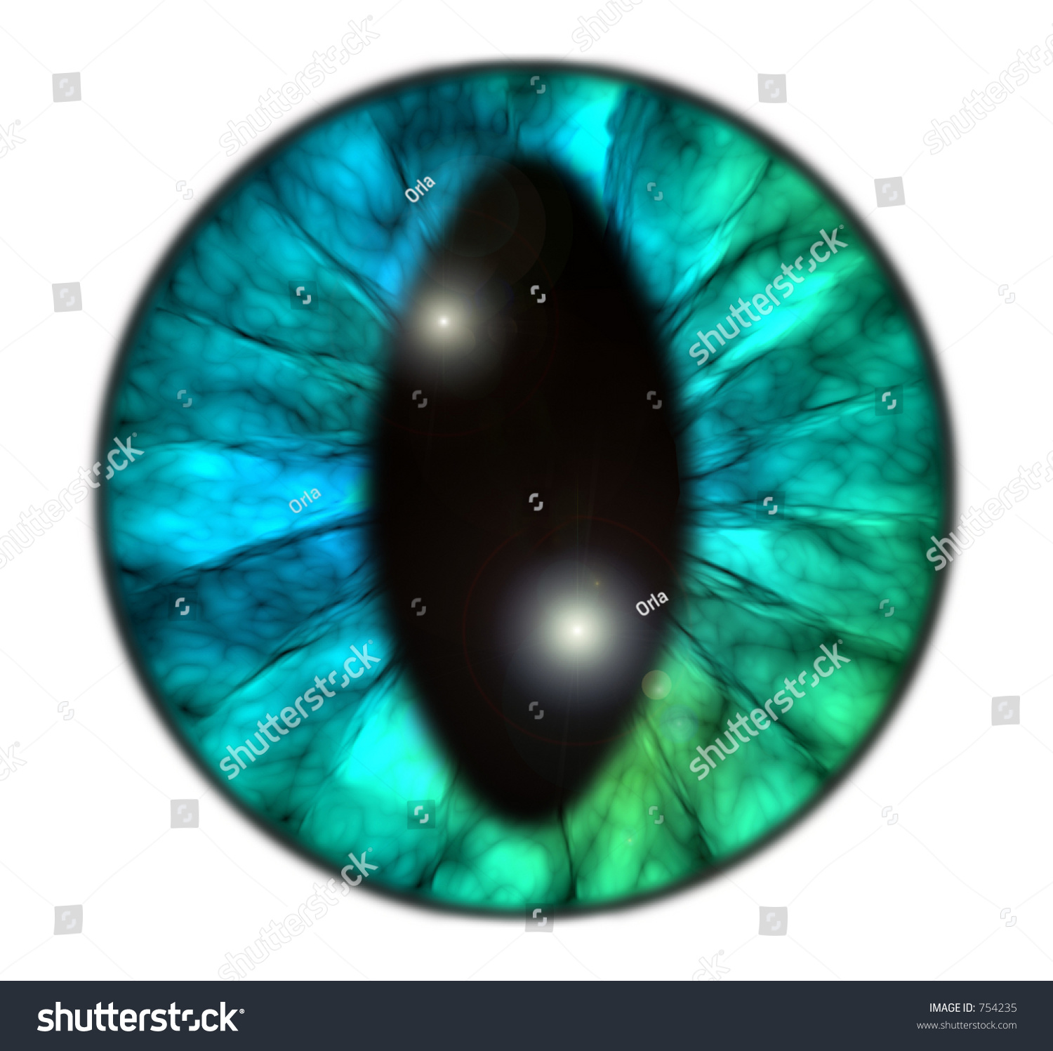 Animal Iris Eye Stock Photo 754235 : Shutterstock