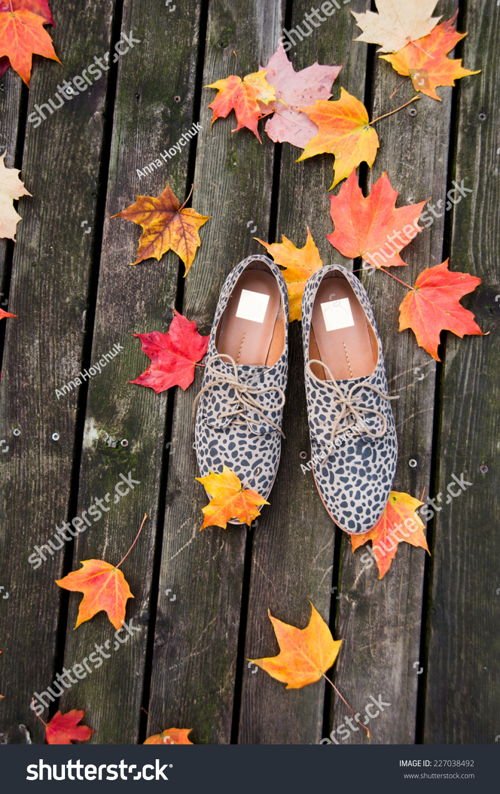 Animal Print Oxford Shoes On Wooden 