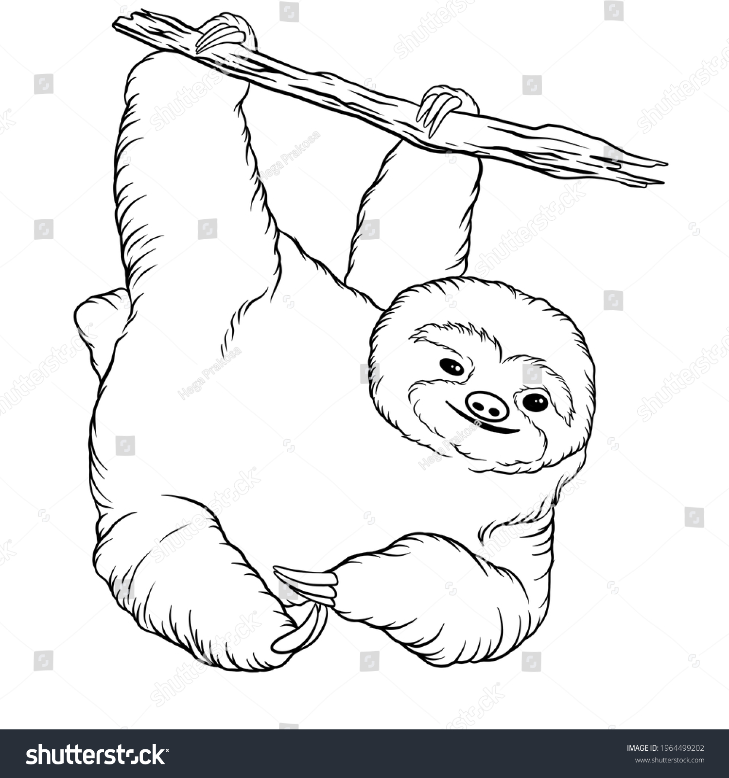 Animal Sloth Line Art Illustration Stock Illustration 1964499202 ...