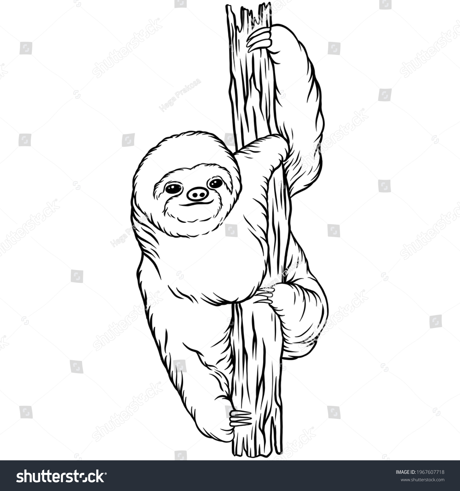 Animal Sloth Line Art Illustration Stock Illustration 1967607718 ...