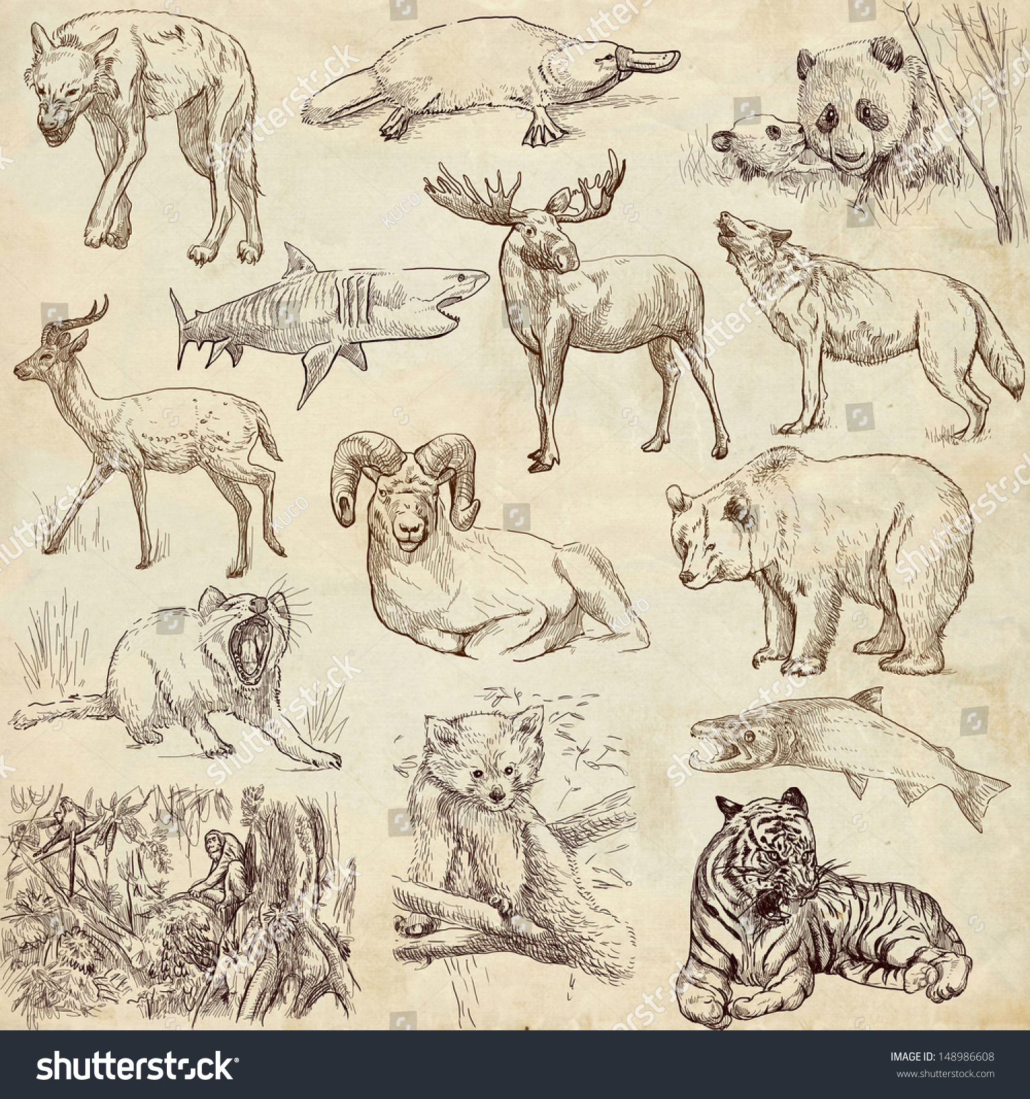 Animals Around World Collection No2 Paper Stock Illustration 148986608