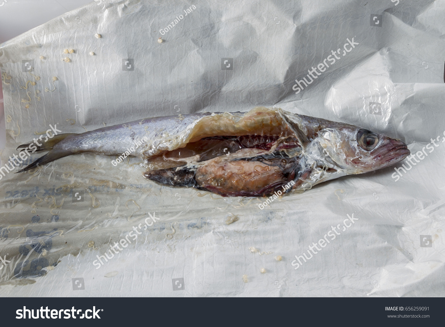 Peeling fish - dangerous Peeling fish - dangerous