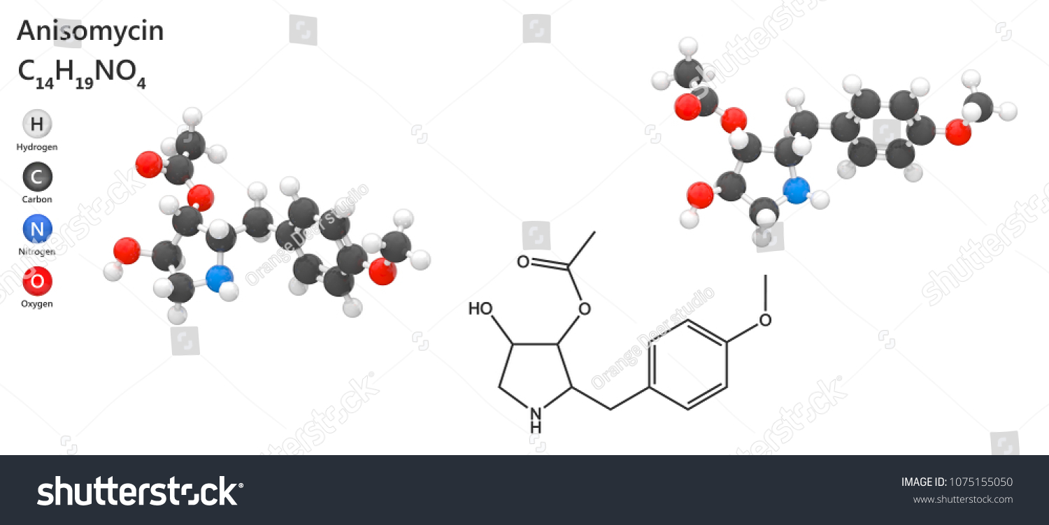 Anisomycin Images, Stock Photos & Vectors | Shutterstock