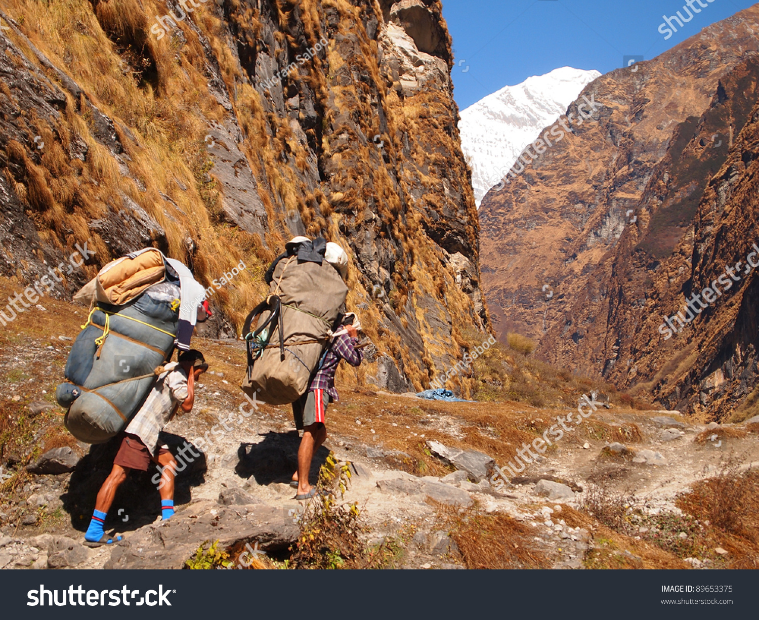stock-photo-annapurna-nepal-porters-carrying-heavy-load-on-his-back-89653375.jpg
