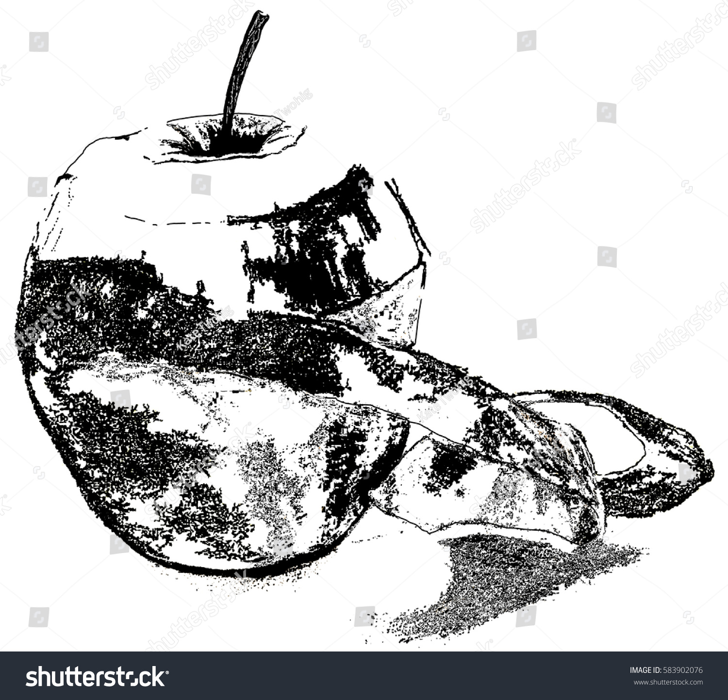 Download Apple Line Art Drawing Partly Peeled Stock Illustration 583902076