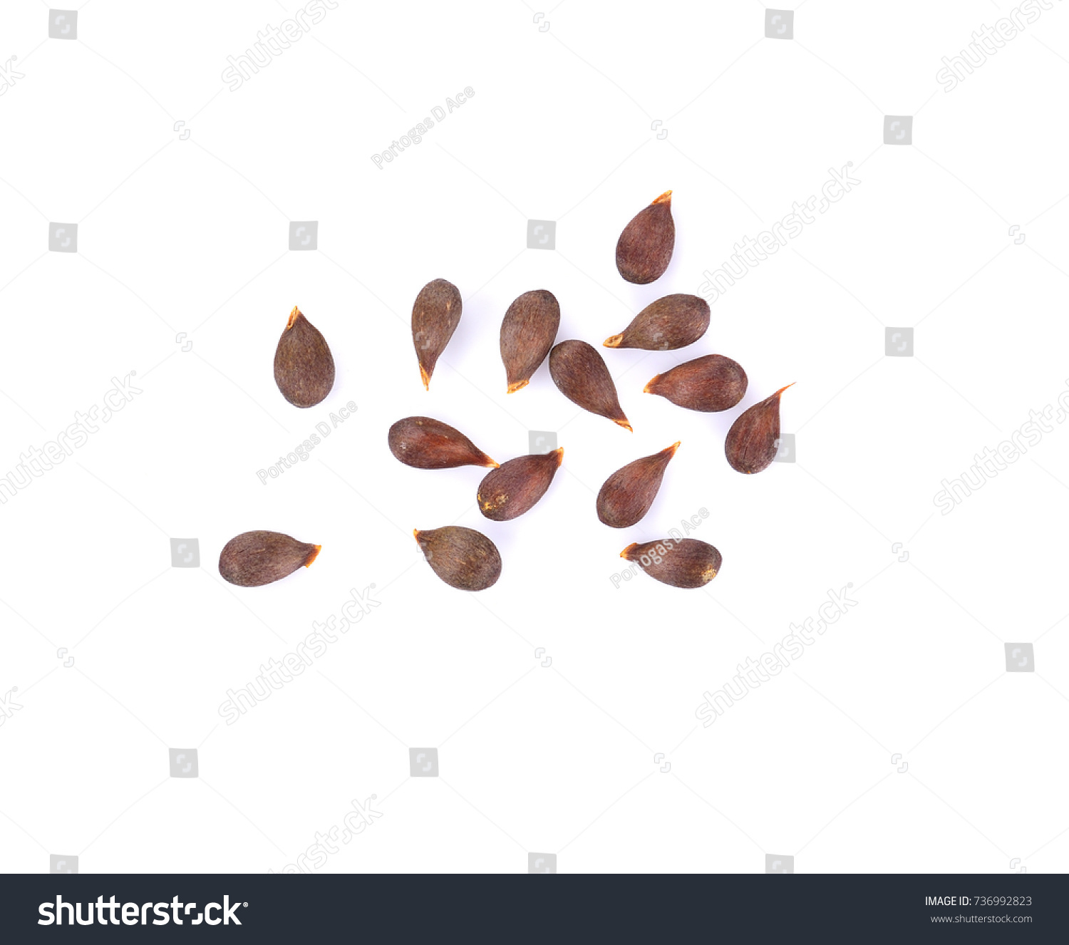 Apple pip Images, Stock Photos & Vectors | Shutterstock