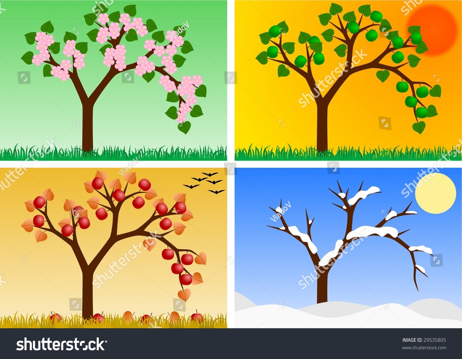 Apple Tree In Four Seasons Stock Photo 29535805 : Shutterstock