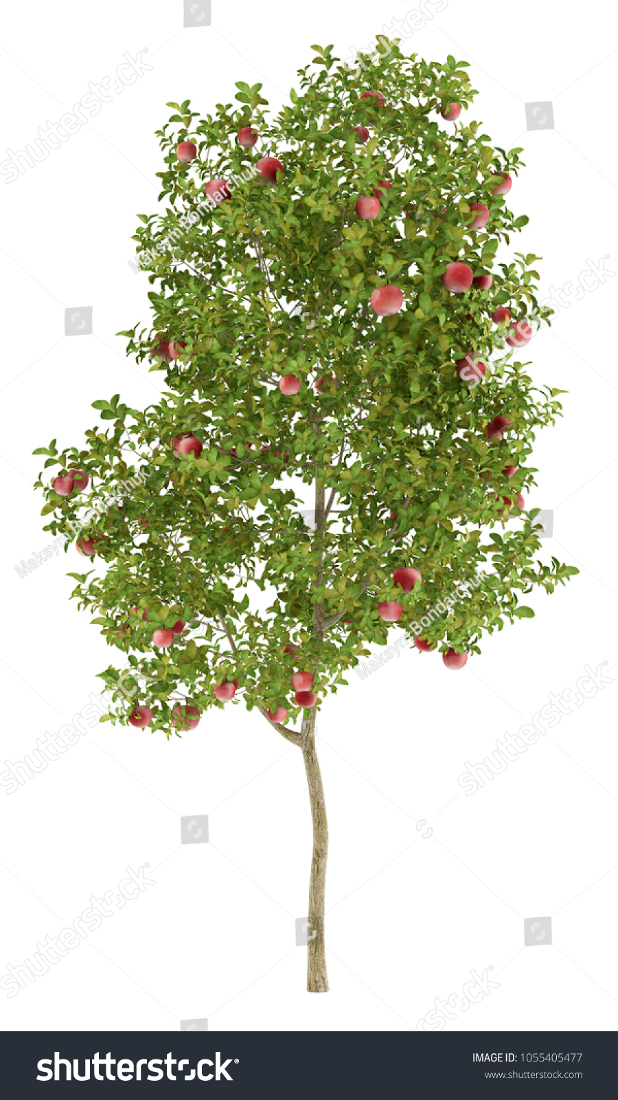 1,939 Cutout of an apple tree Images, Stock Photos & Vectors | Shutterstock