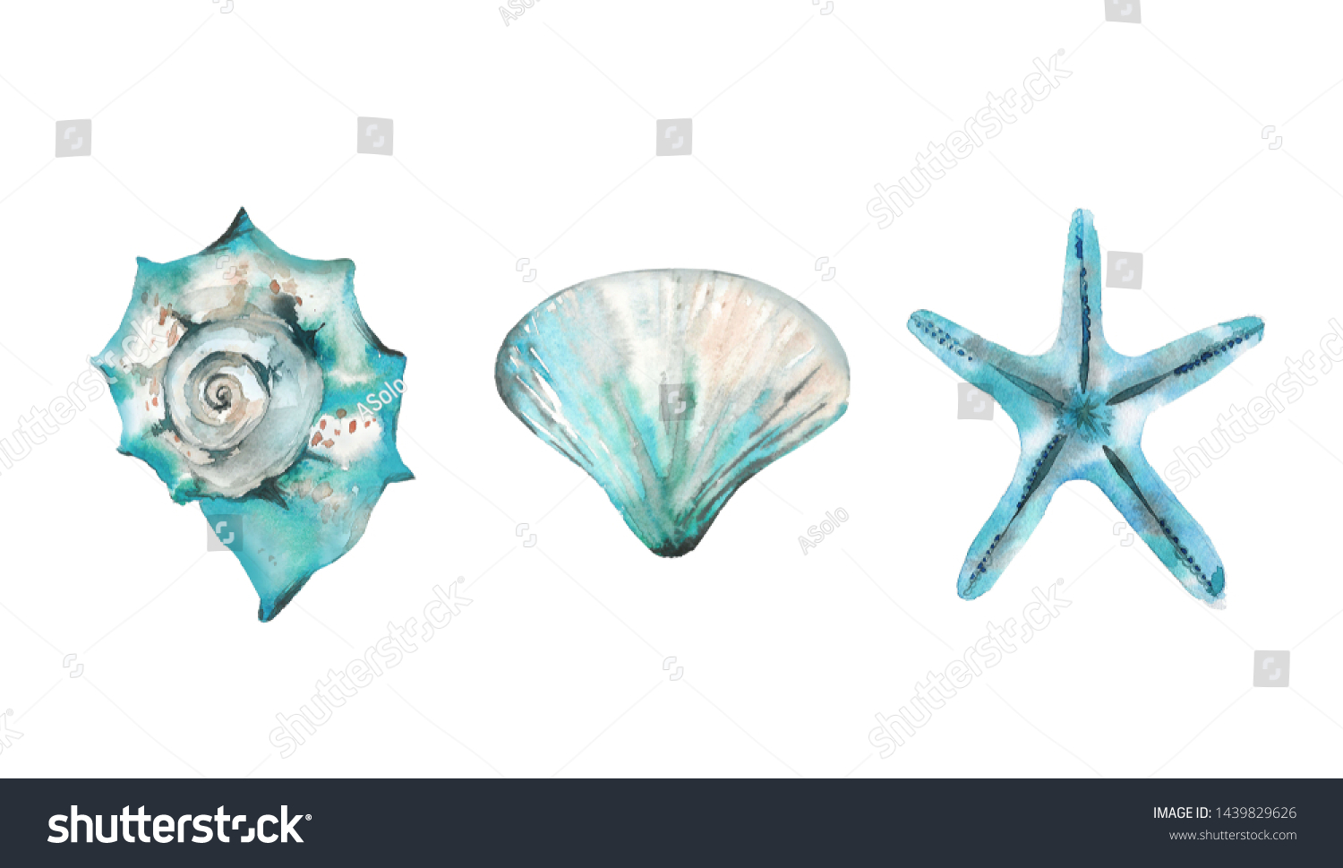 アクアマリンの海の生き物セット 貝類とヒトデ 白い背景に水彩イラスト のイラスト素材