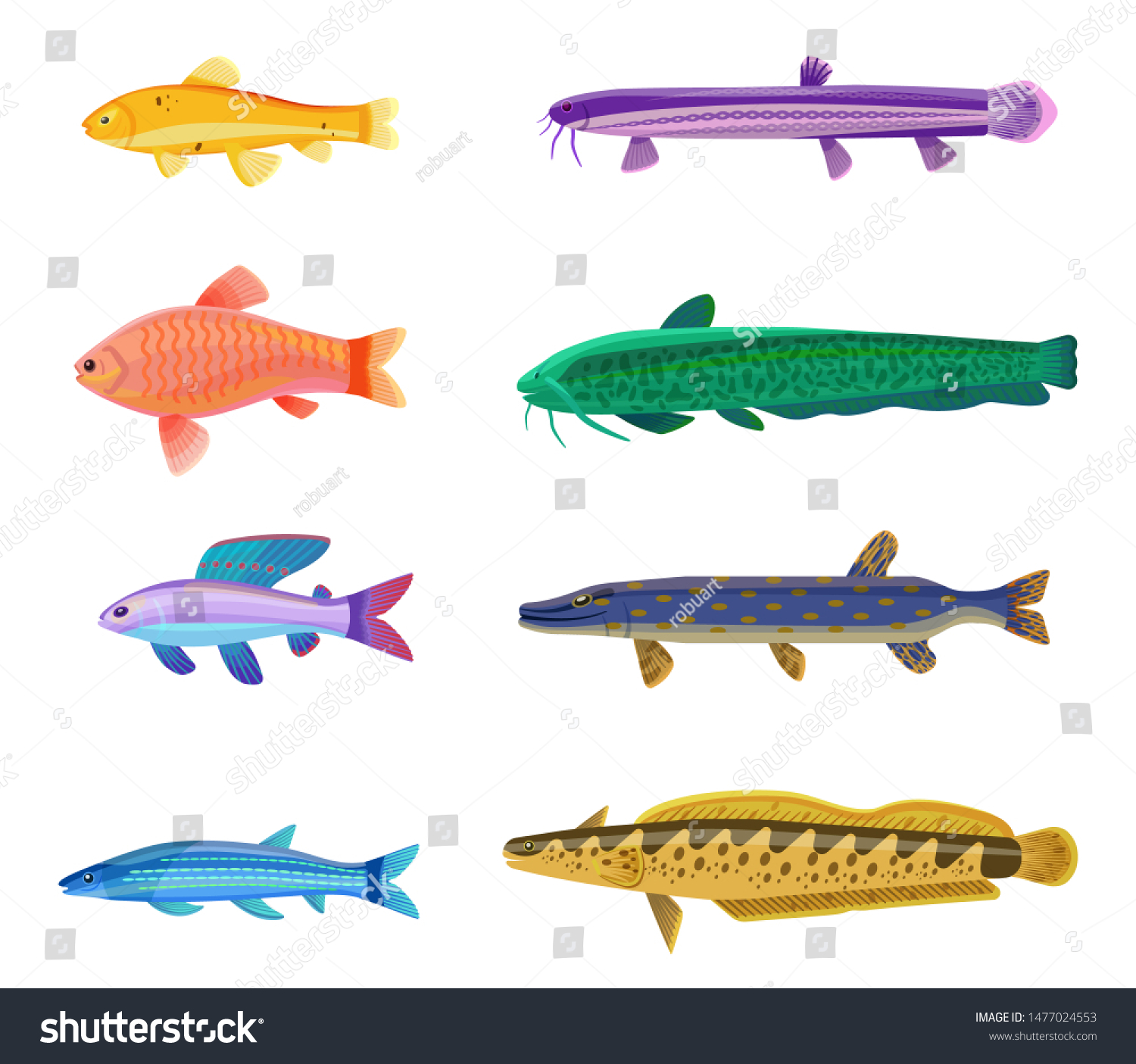different types of tropical fish