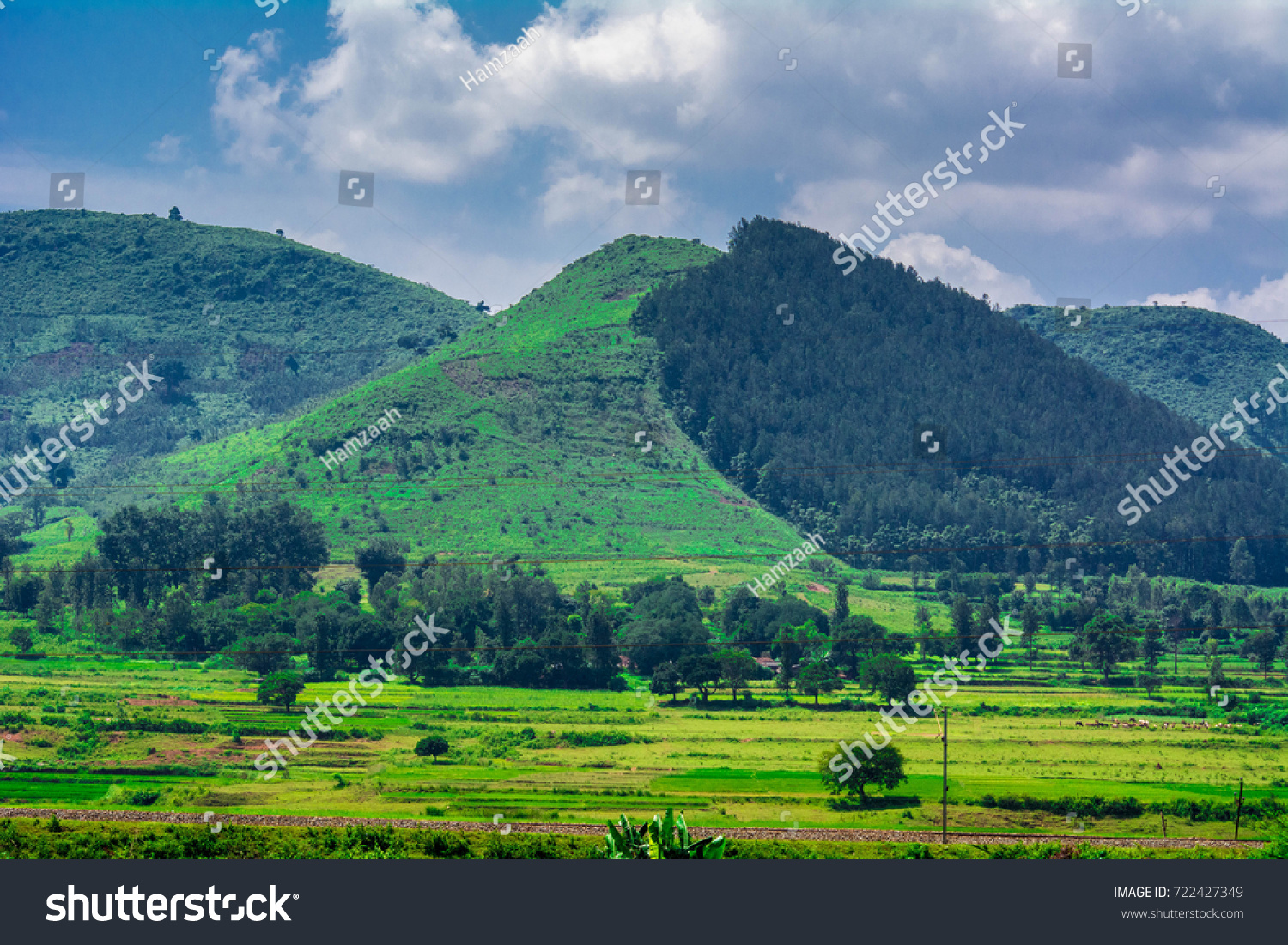 Araku Valley Indian Valley Andhra Pradesh Stock Photo 722427349