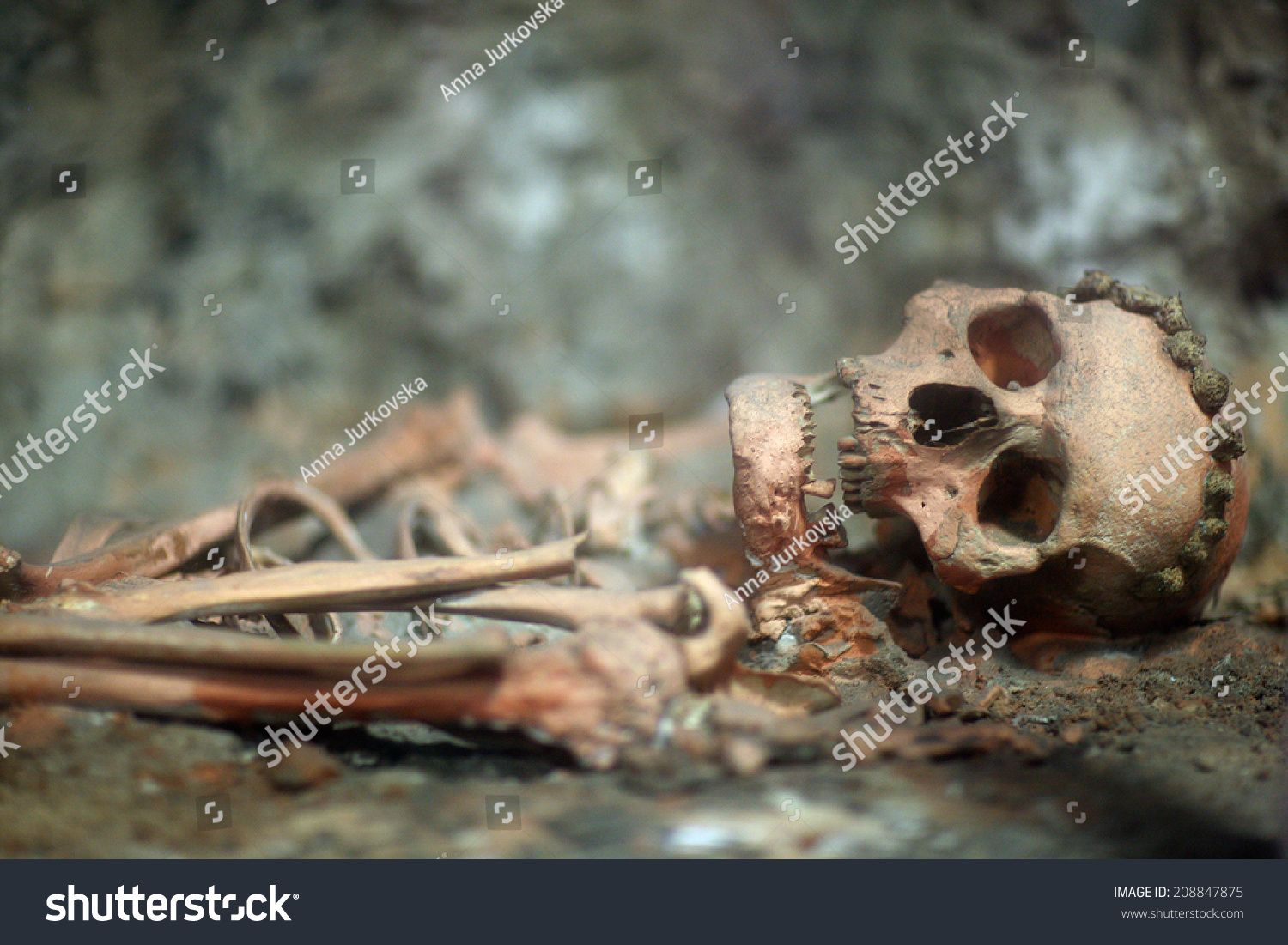 Archaeological Find Skeleton Human Being Stock Photo (Edit Now