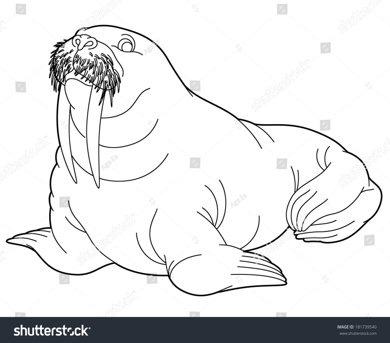 Arctic Animal Coloring Page Illustration Children Stock Illustration