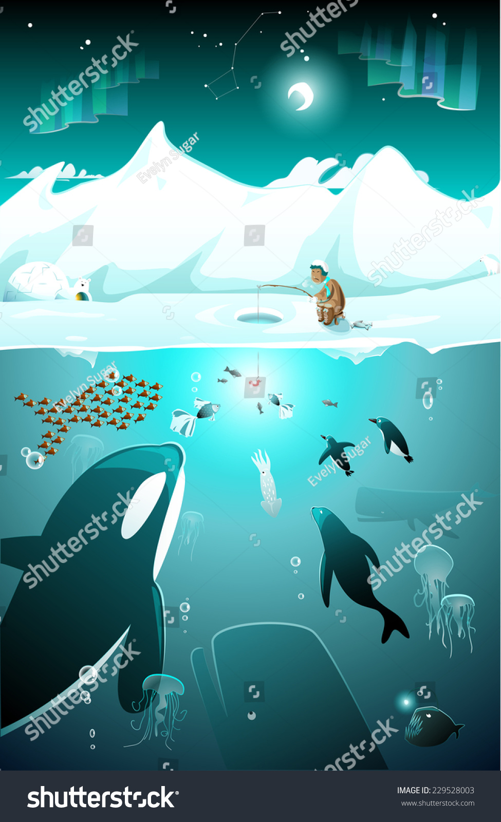 Arctic Underwater Marine Life On The North Or South Pole Among Icebergs ...