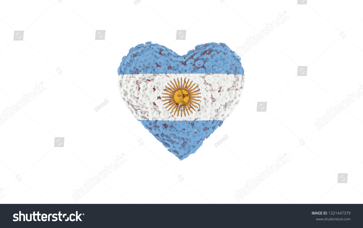 Argentina National Day May 25 Flowers Stock Illustration 1321447379