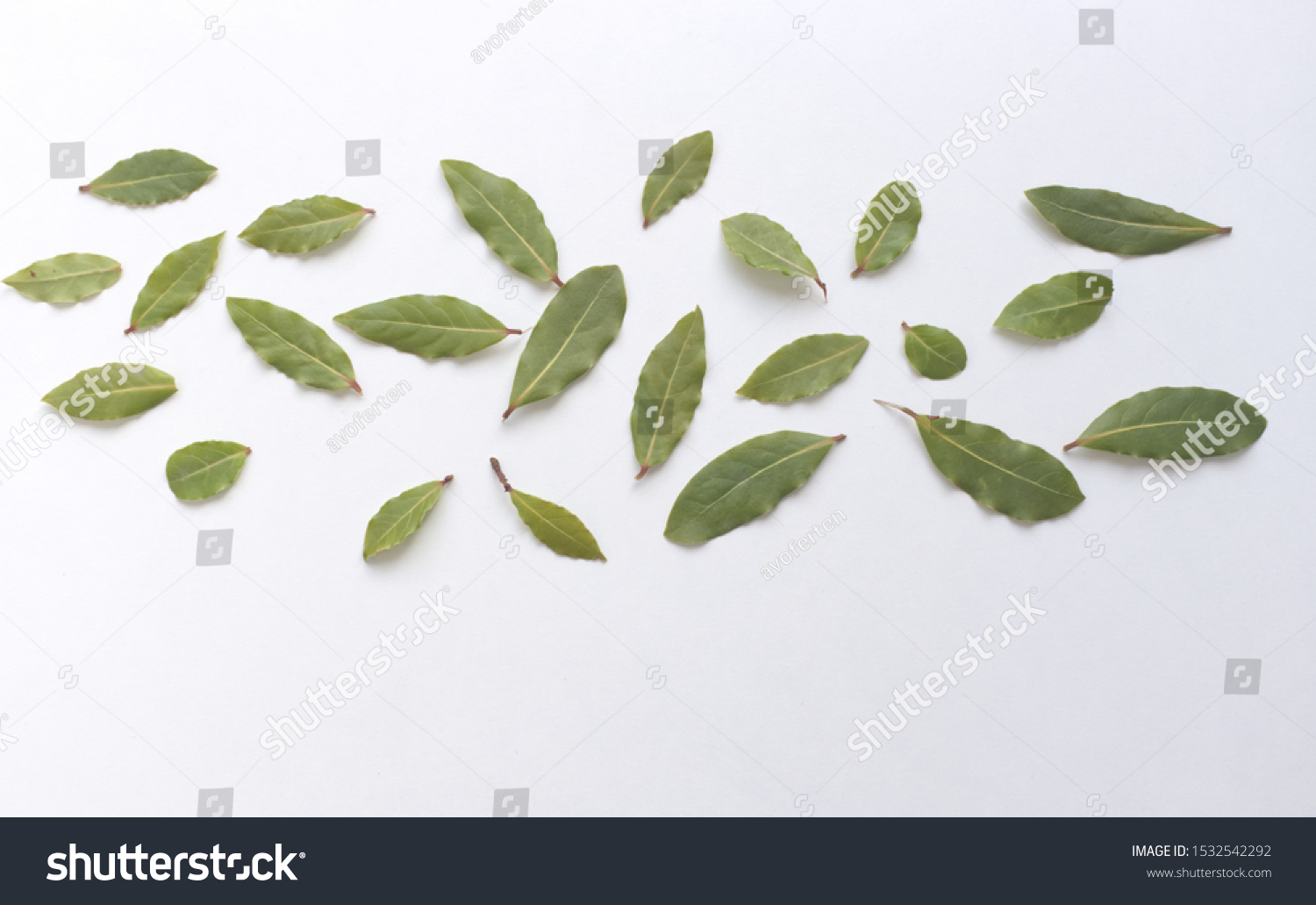 Aromatic Bay Leaves Isolated On White Stock Photo Edit Now