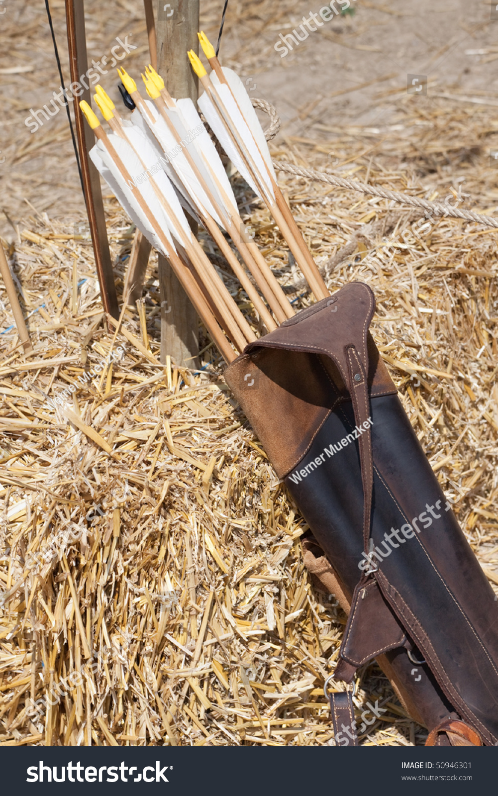 Arrows Quiver Stock Photo 50946301 - Shutterstock