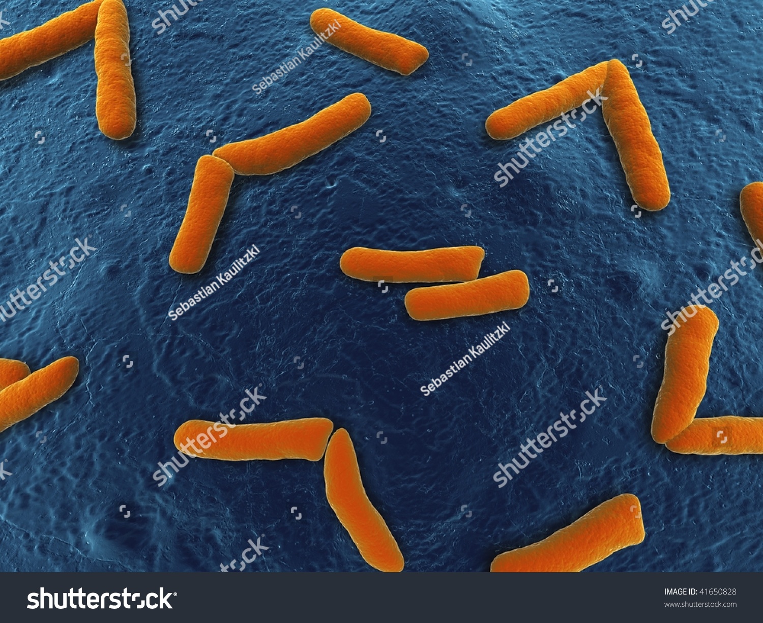 Arthrobacter Stock Photo 41650828 : Shutterstock